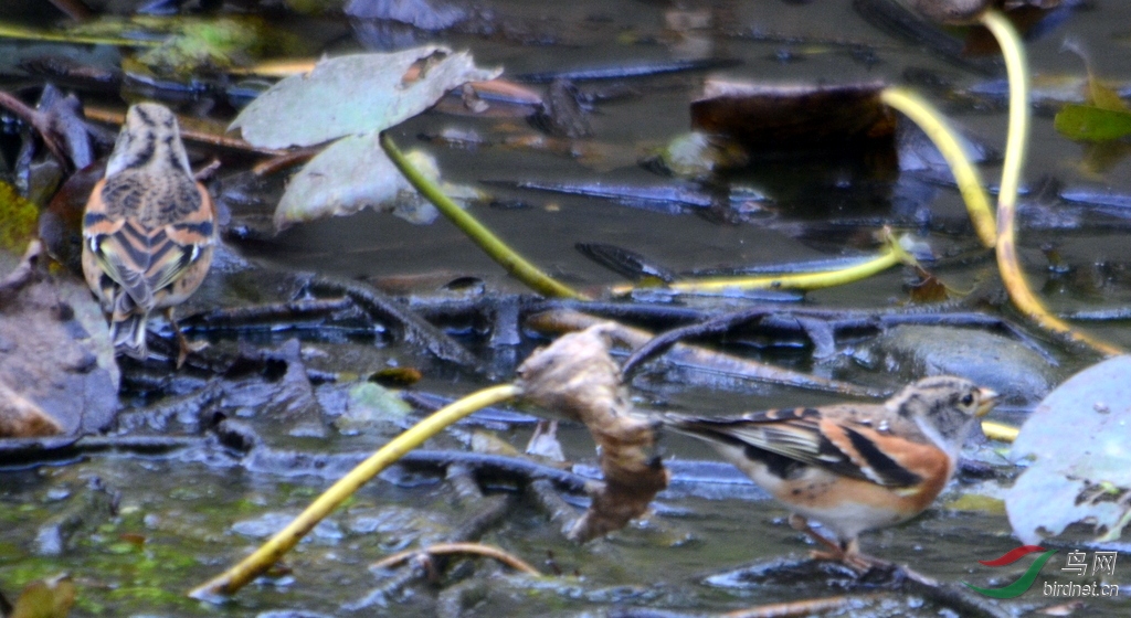 DSC_9351.JPG
