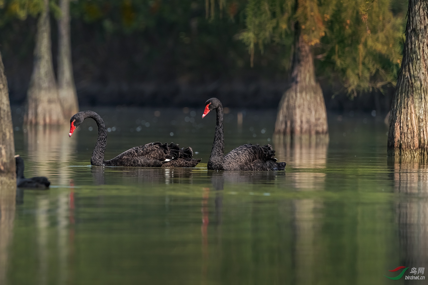 _DSC3024-2.jpg