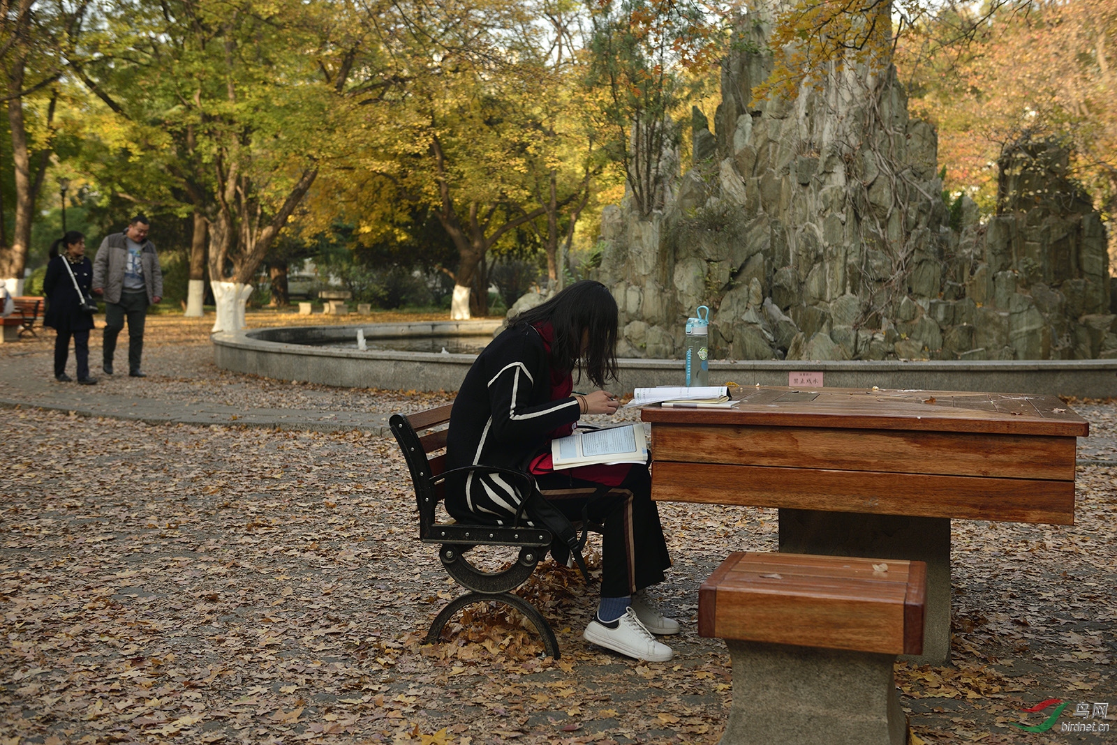 _D8A9019_12774a.jpg