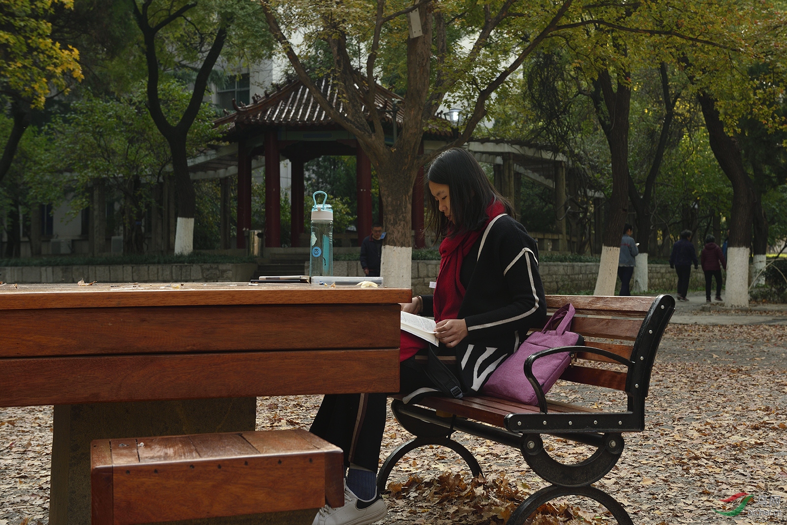 _D8A9067_12791a.jpg