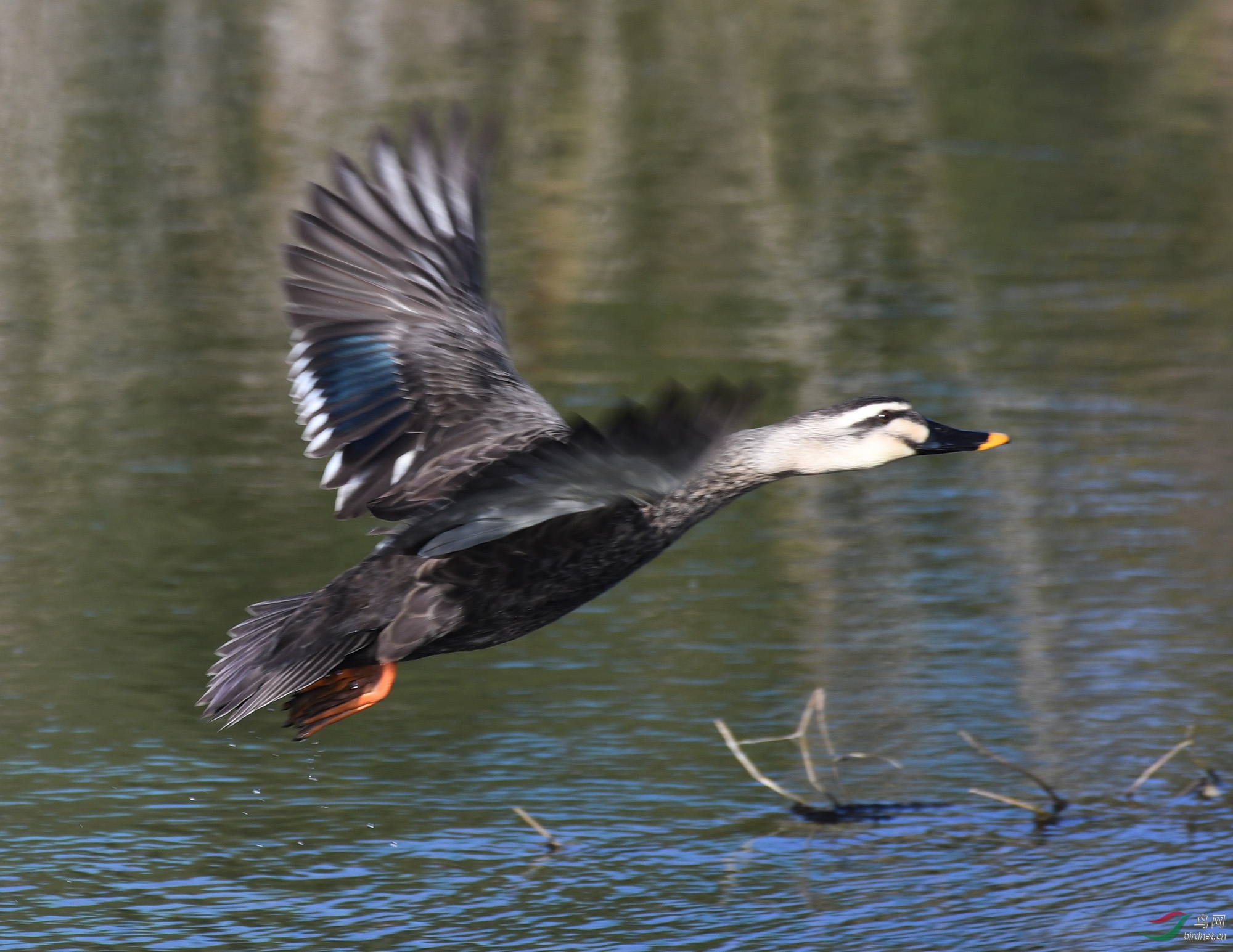 ������Ӱ 828����.jpg