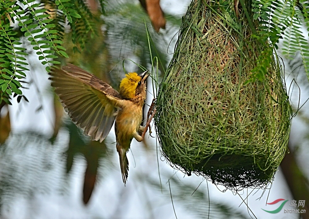 DSC_9754.jpg