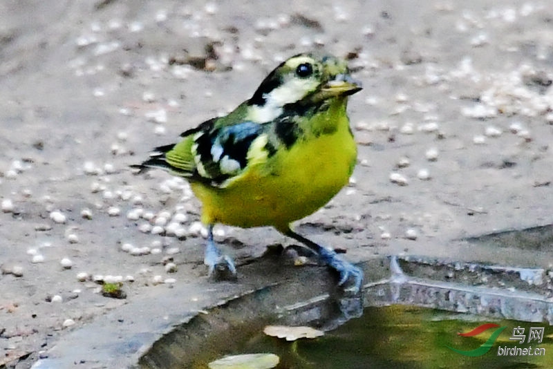 DSC_7322.jpg