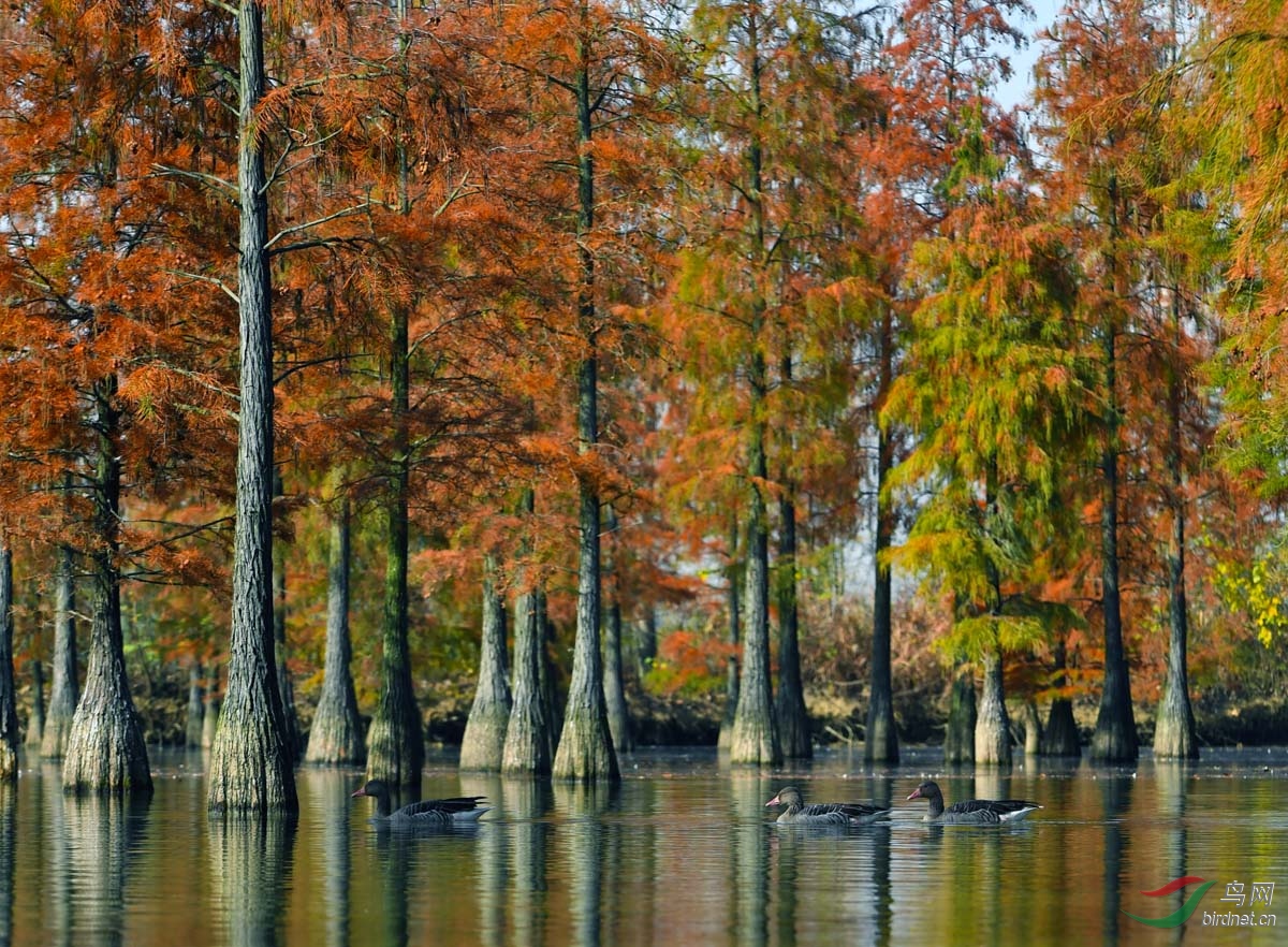 DSC_9668.jpg