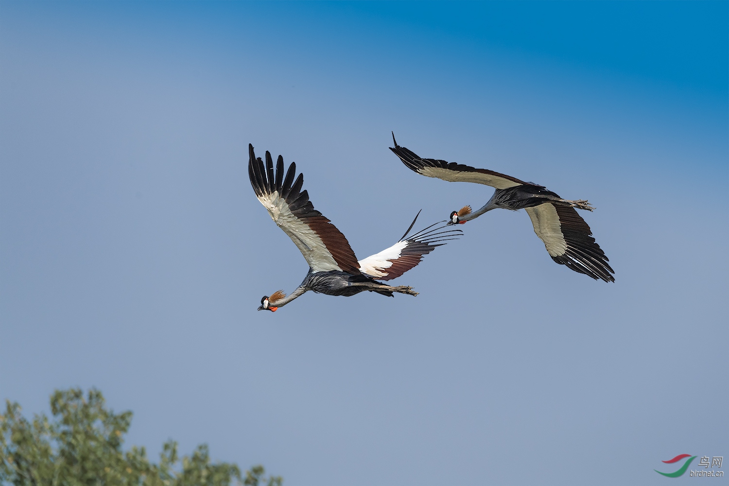 _DSC3518-2.jpg