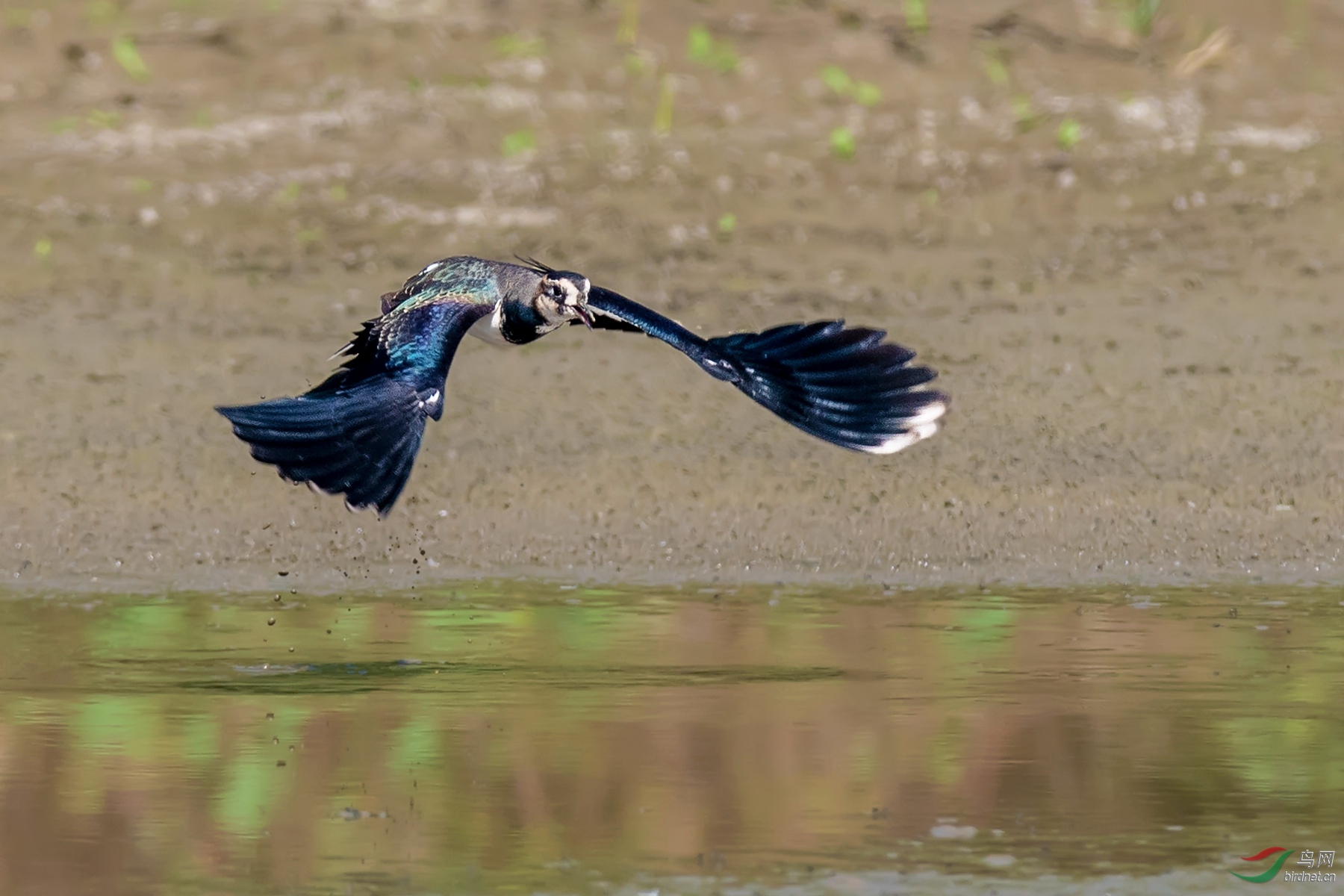 DSC_5853.jpg