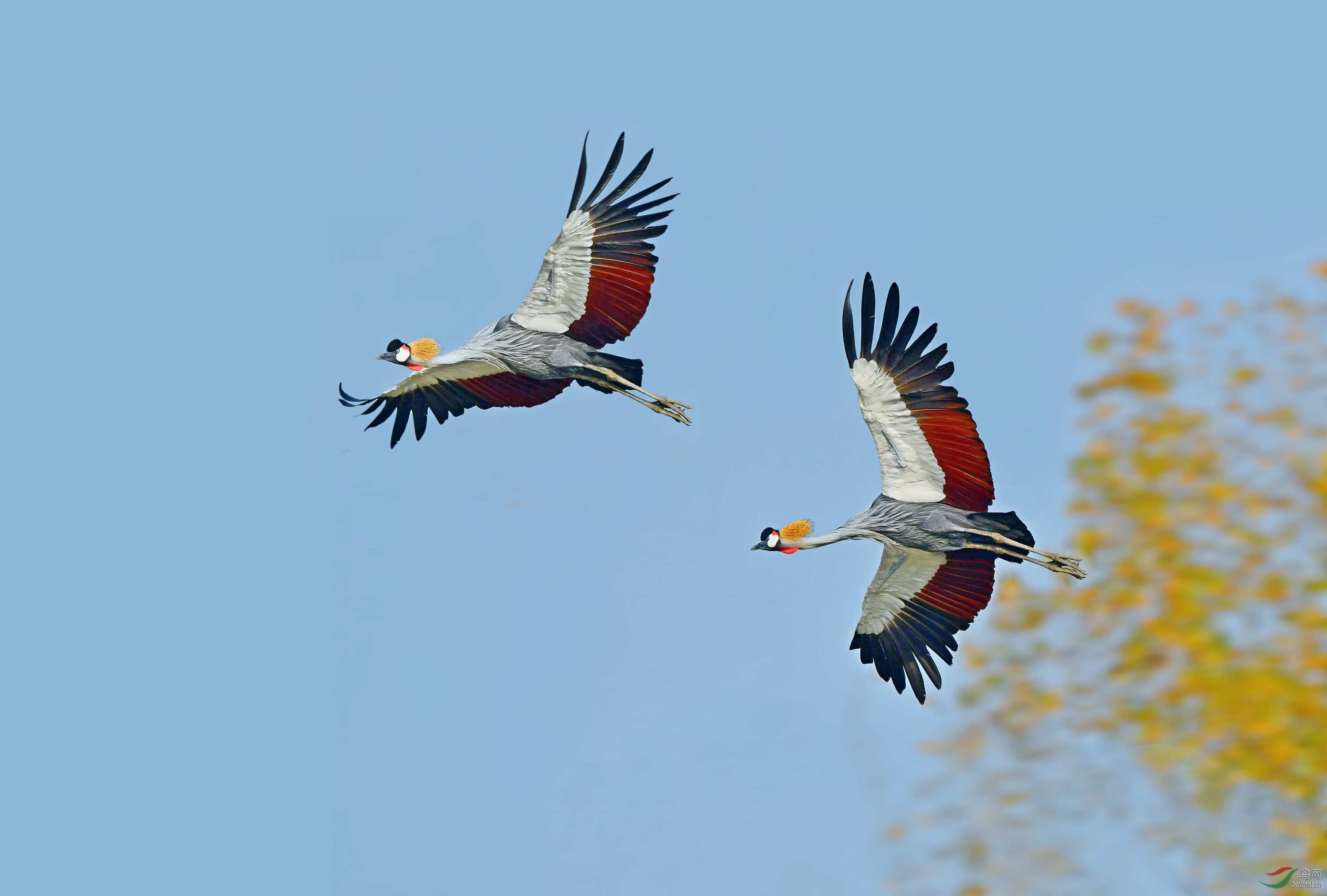 DSC_3795.jpg