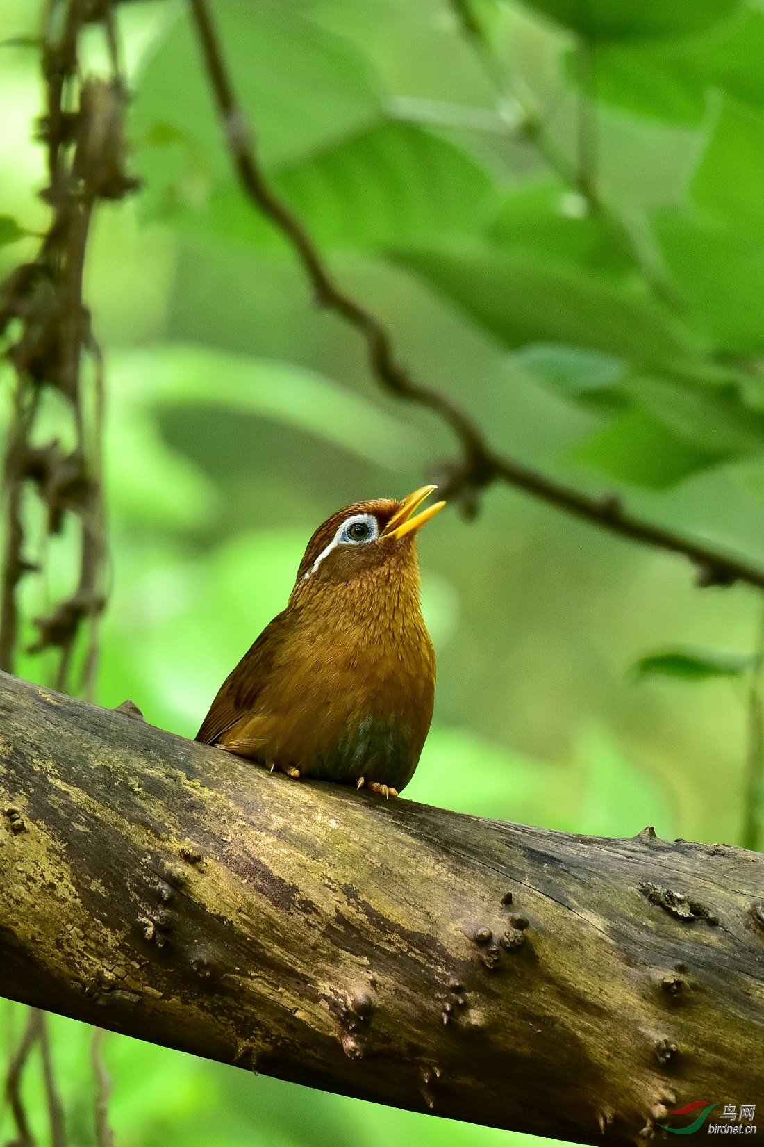 DSC_0296.JPG