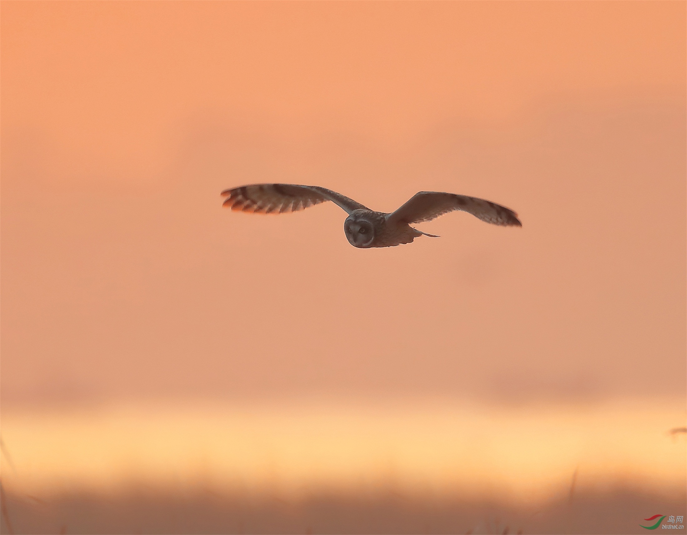 33 - ����.jpg