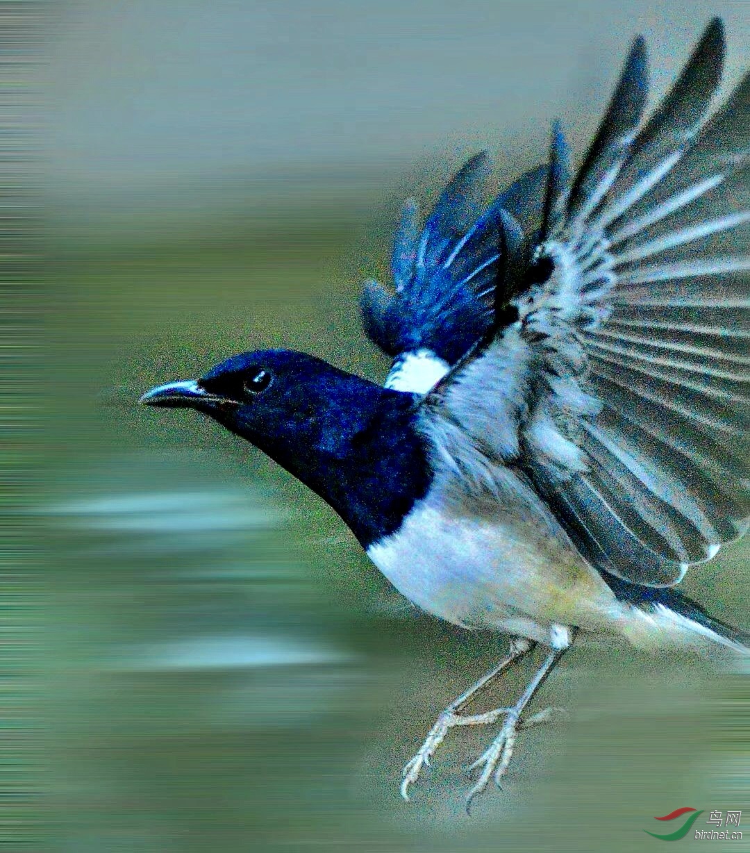 B2EF4483-7A2A-4901-A100-31799E9C75D3.jpeg