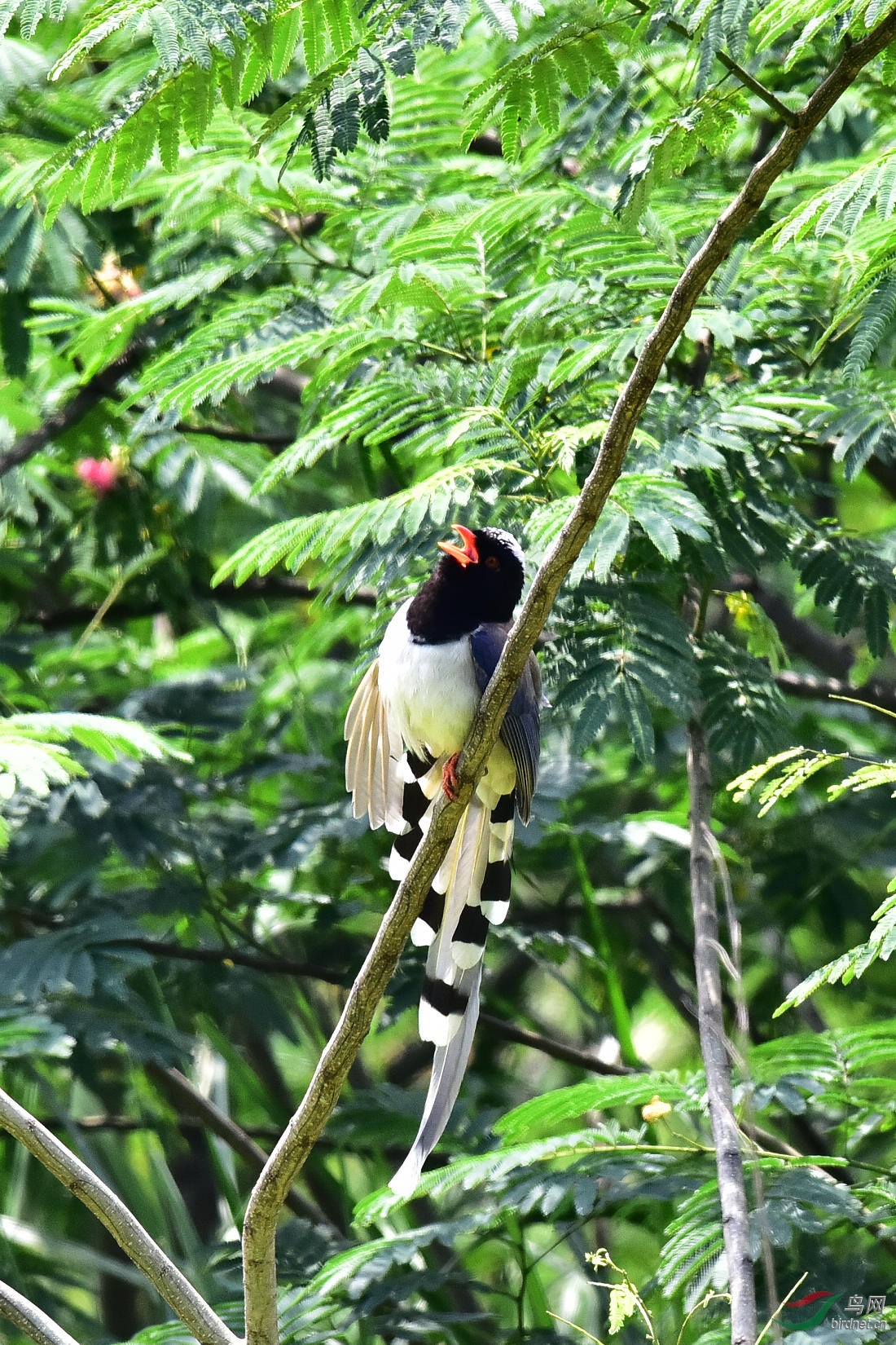 DSC_0718.JPG