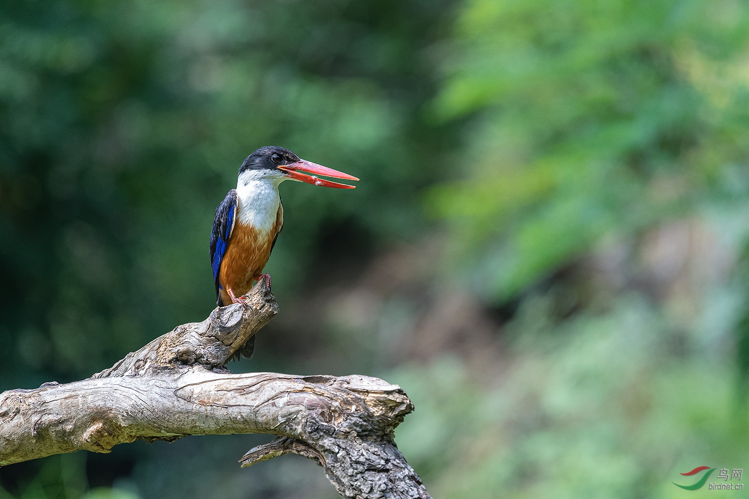 _DSC6415-2.jpg