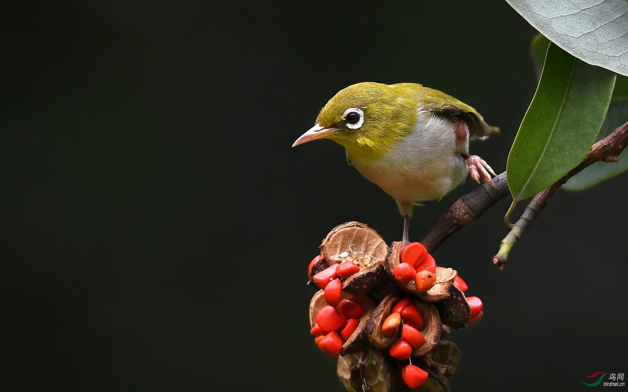 DSC_0731_����_DxO (����).jpg