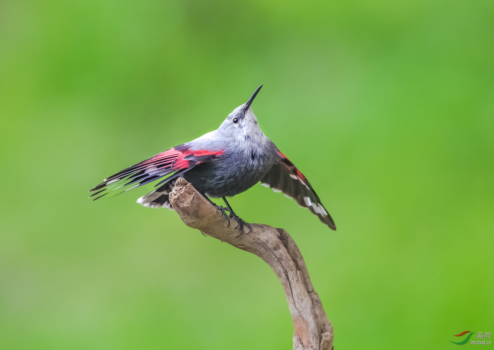 DSC_9304.jpg