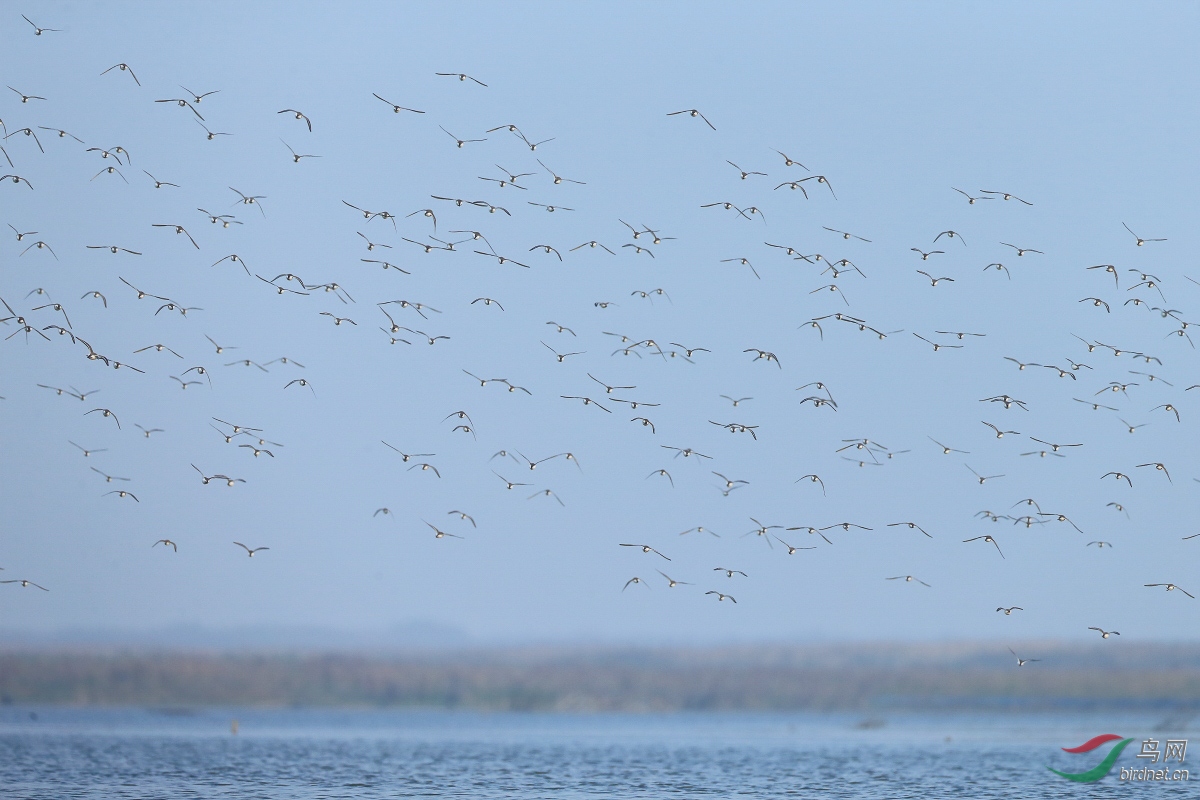 9954-�� (1 - 1).jpg