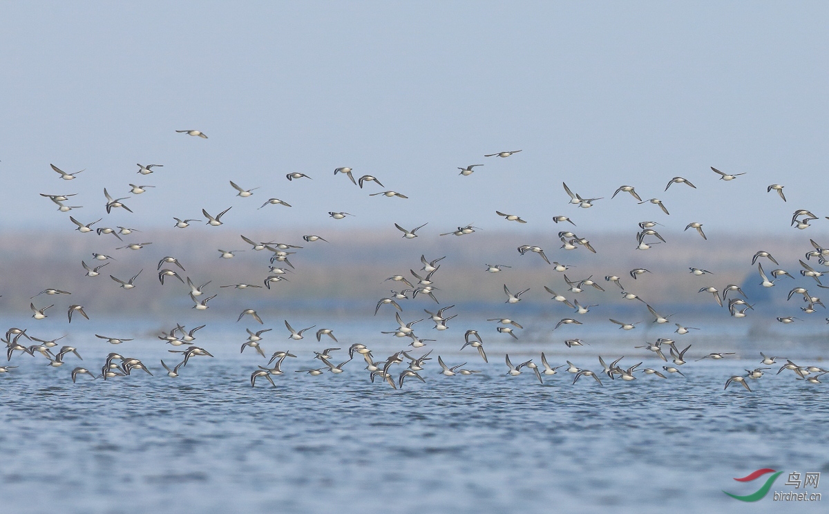 9985-�� (1 - 1).jpg