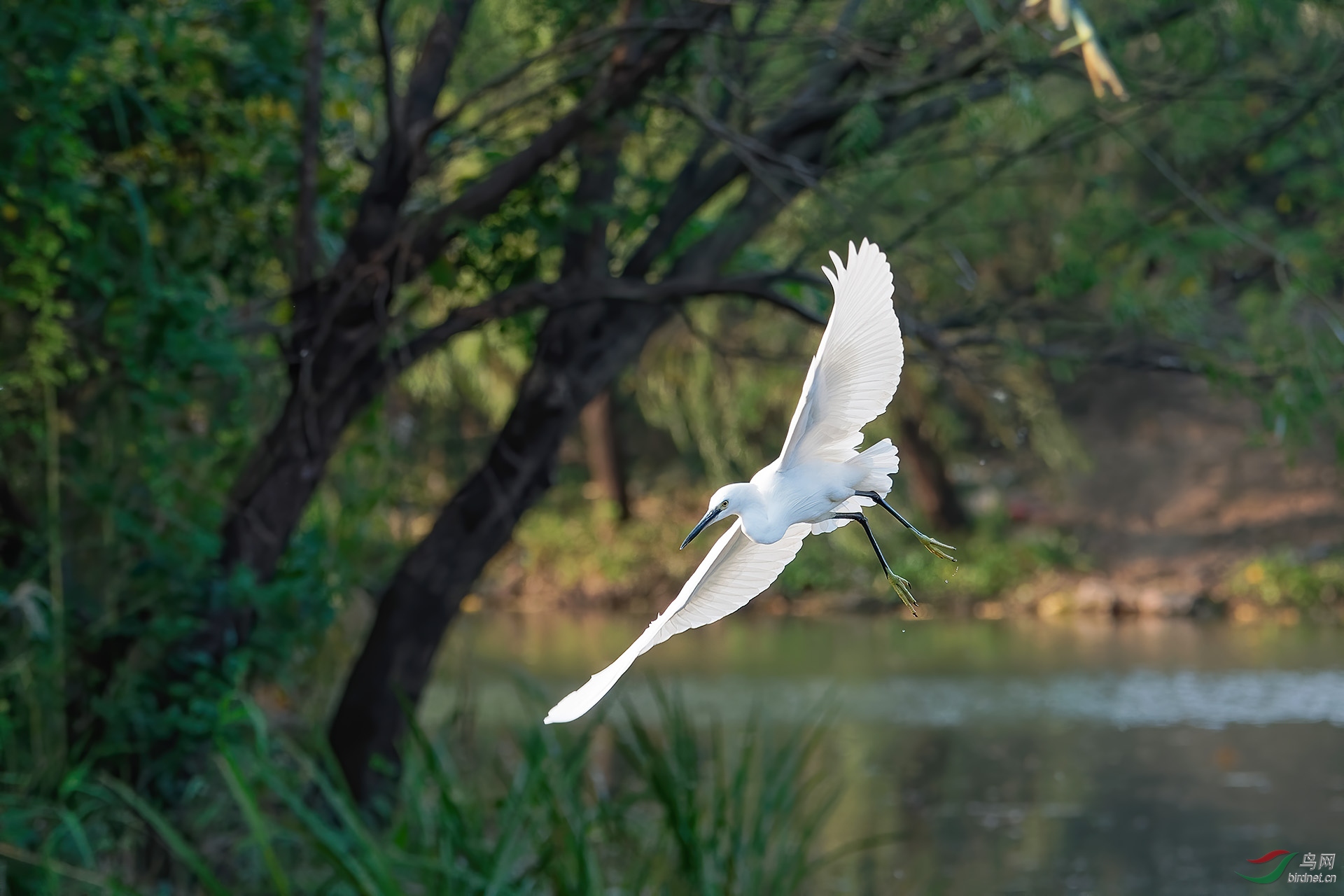 DSC_7187.jpg