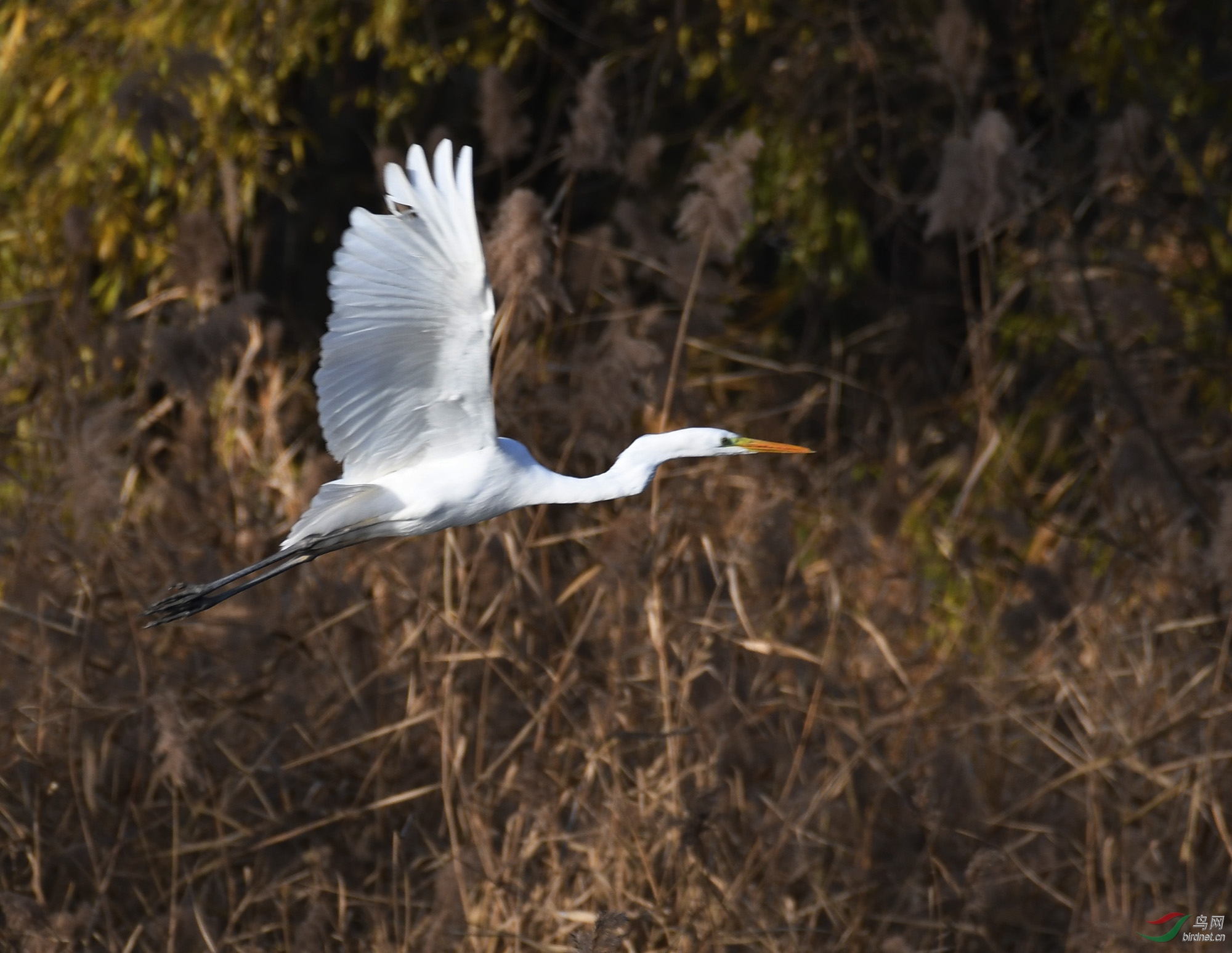 ������Ӱ 065����.jpg