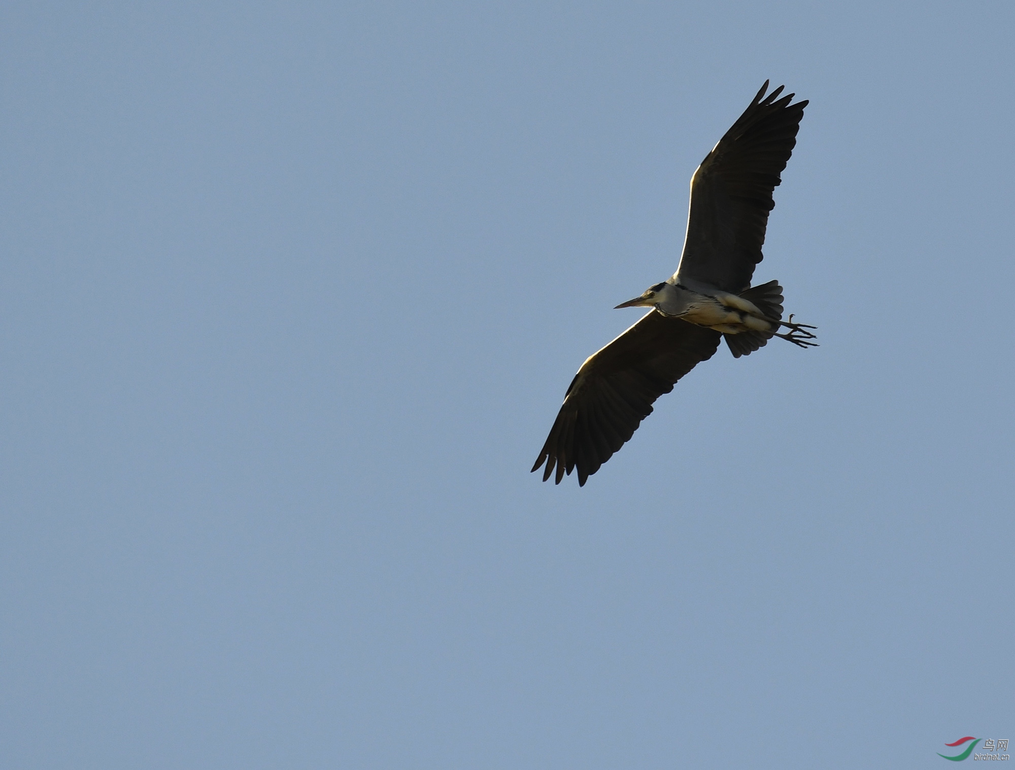 ������Ӱ 103����.jpg