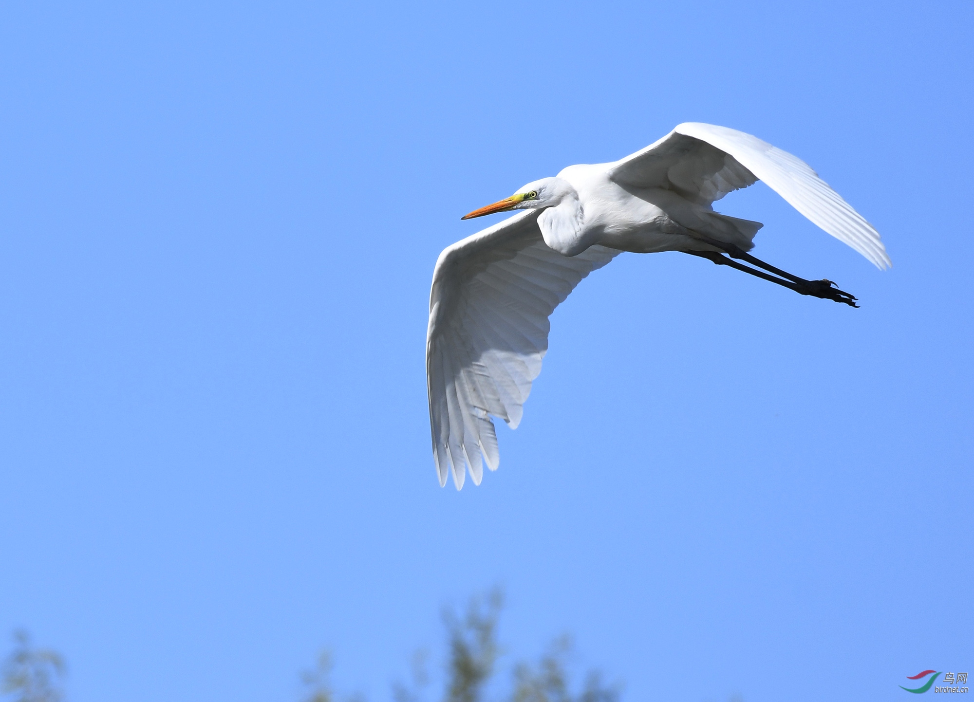 ������Ӱ 2244����.jpg