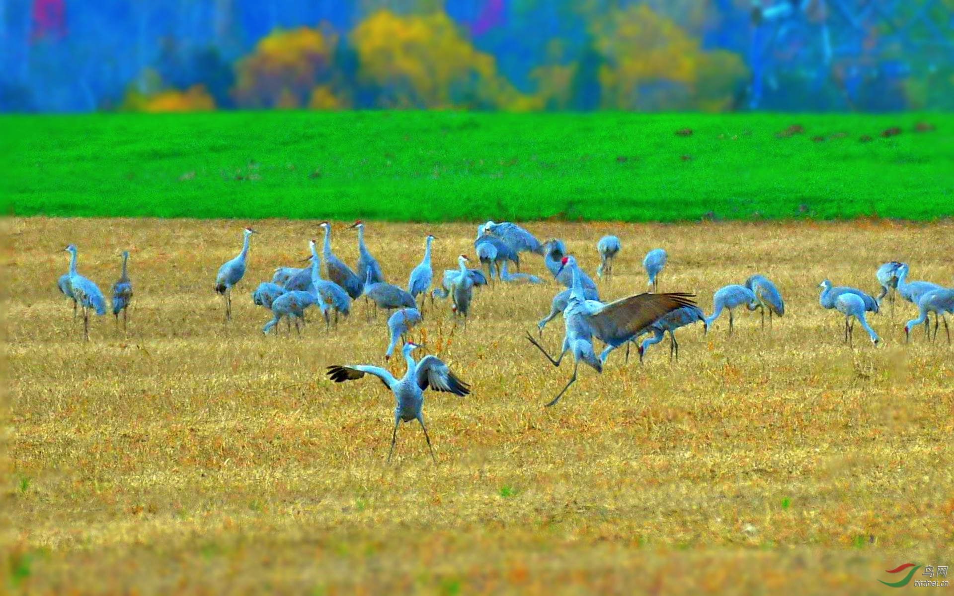 DSC_0669_����.jpg