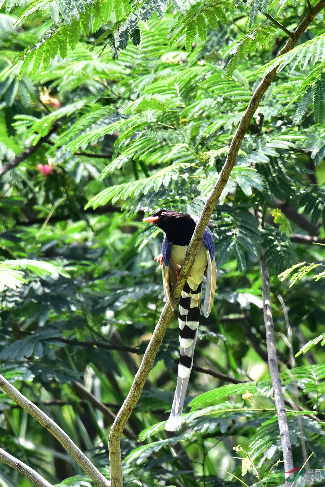 DSC_0721.JPG