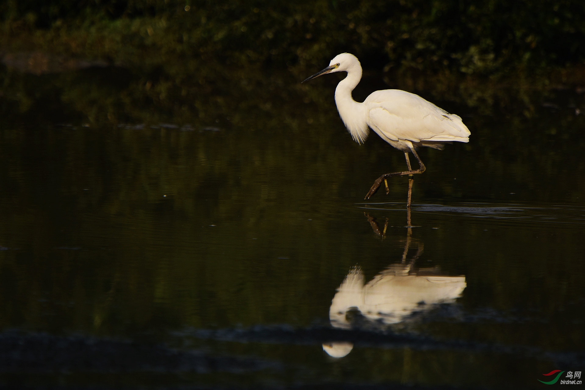 D8I_2350.jpg