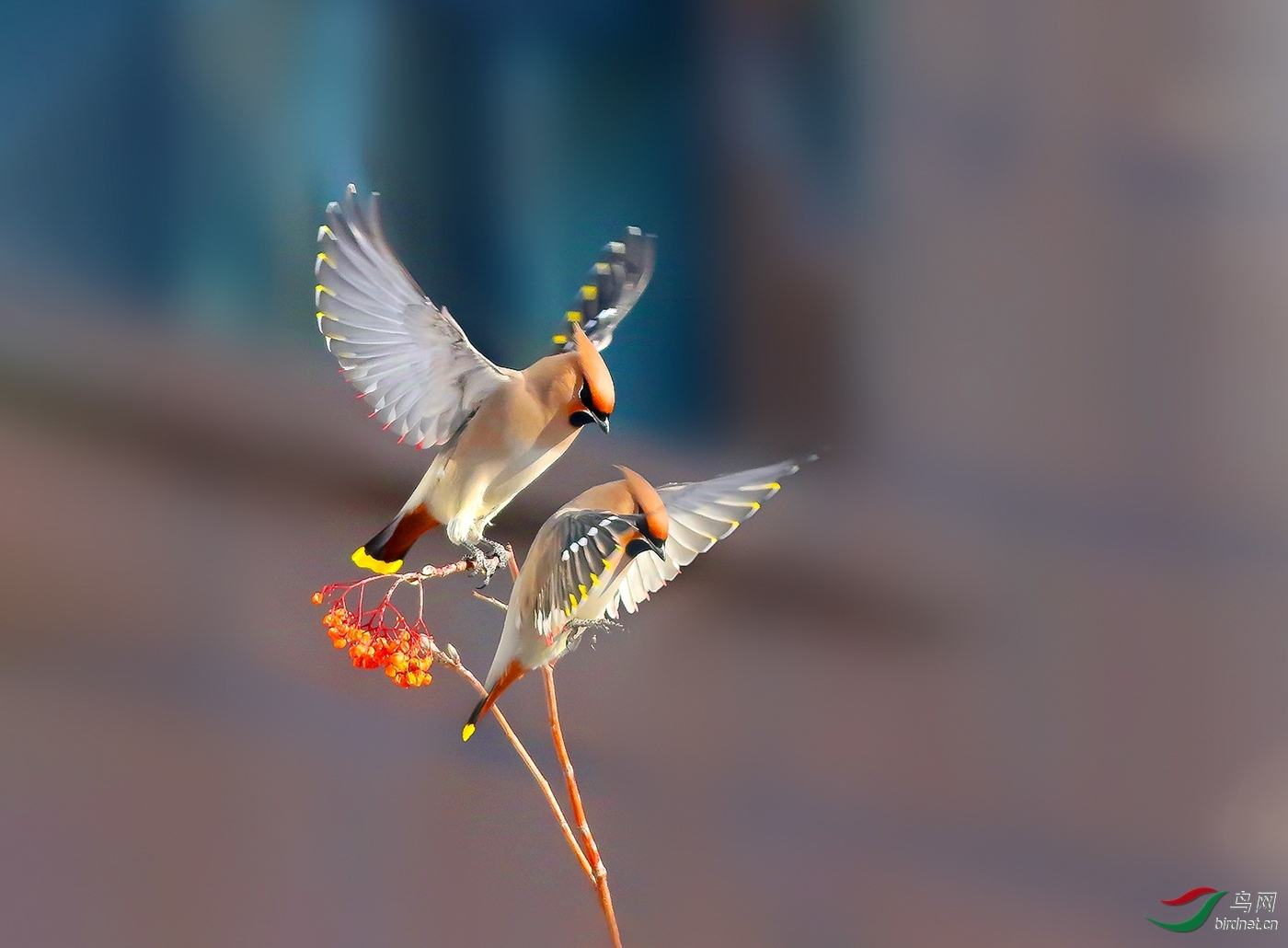 210403dey354pqzw1h44xv (1).jpg