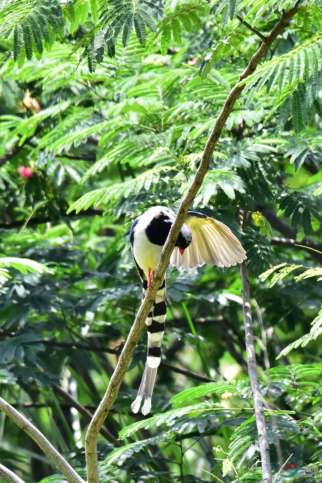 DSC_0723.JPG