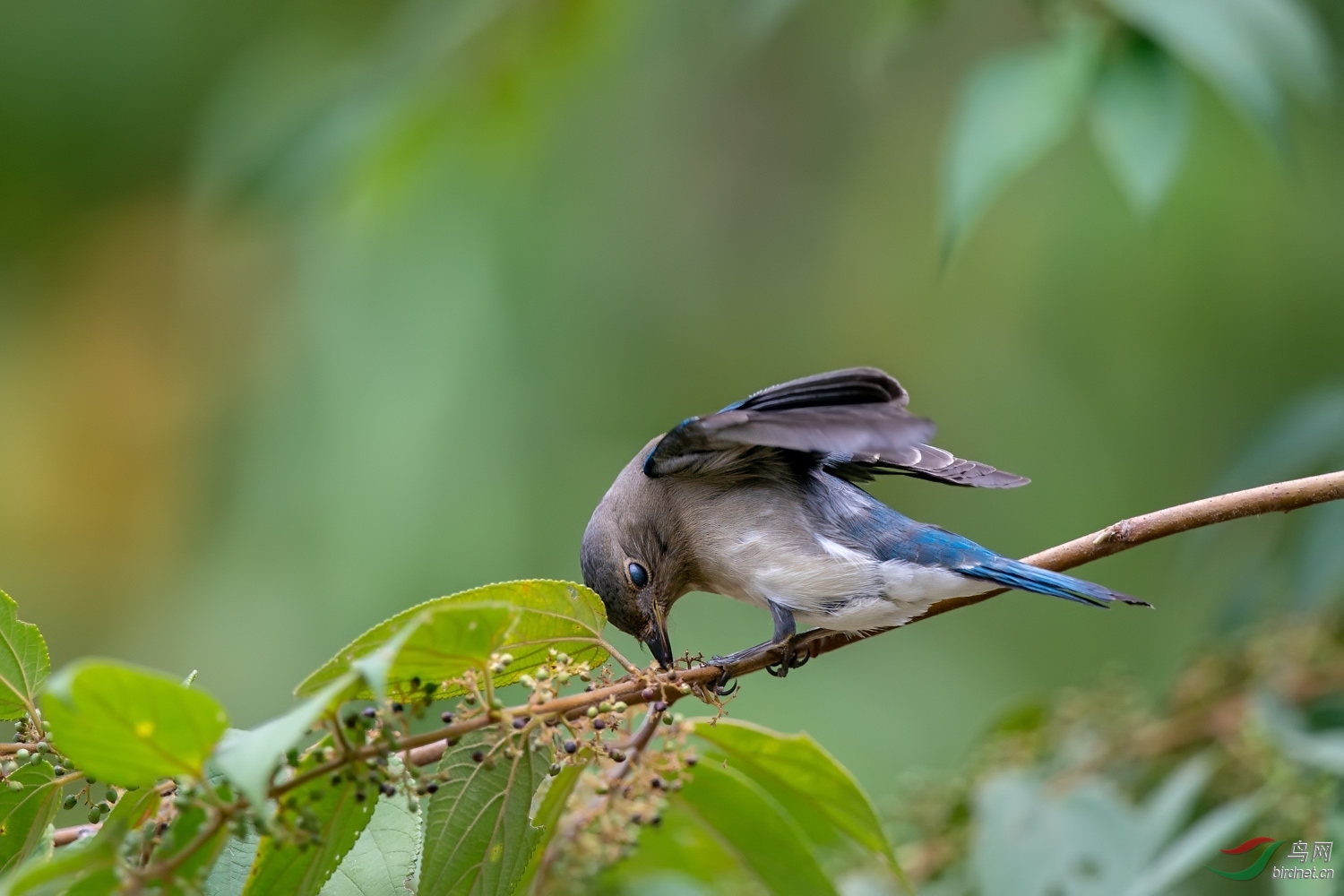 A9D07365a.jpg