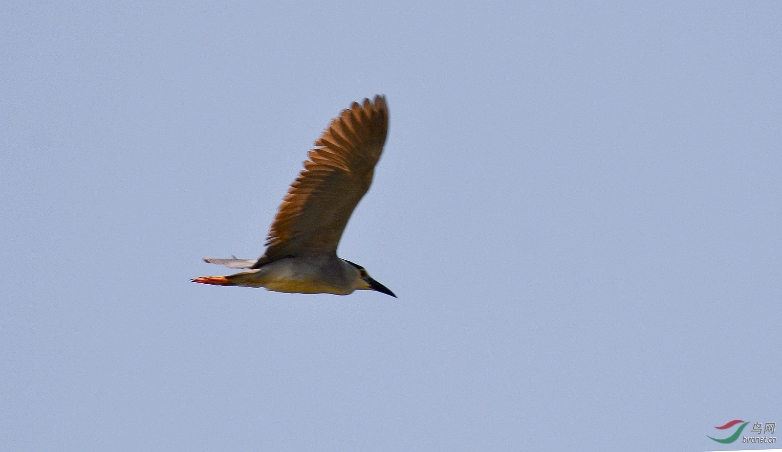 DSC_1016.JPG