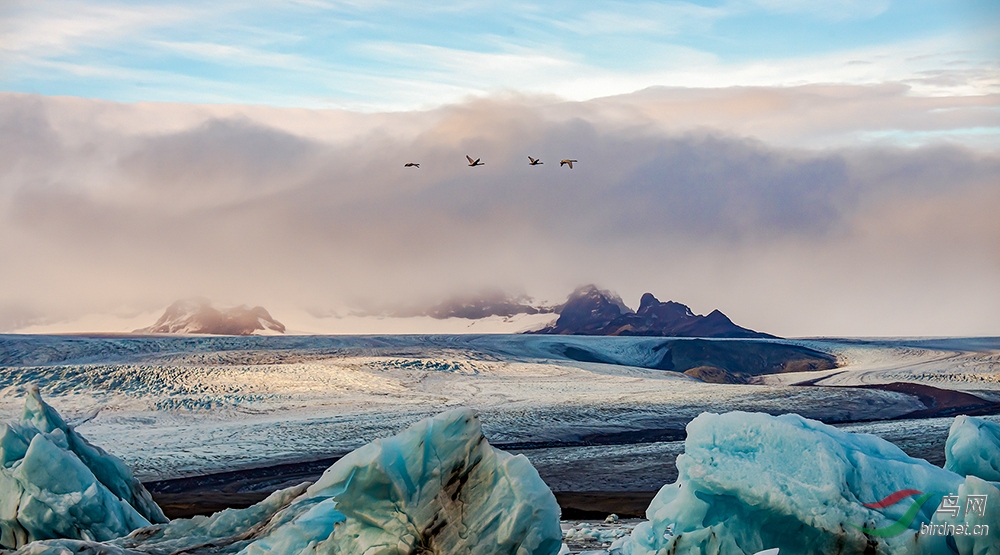 �����ڱ�ŷ�����ܹ�ɳ�����Ӻ���