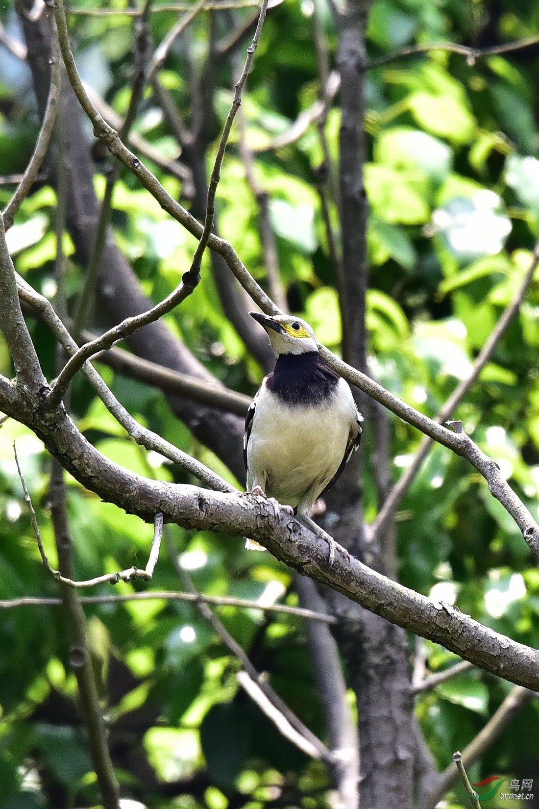 DSC_0305.JPG