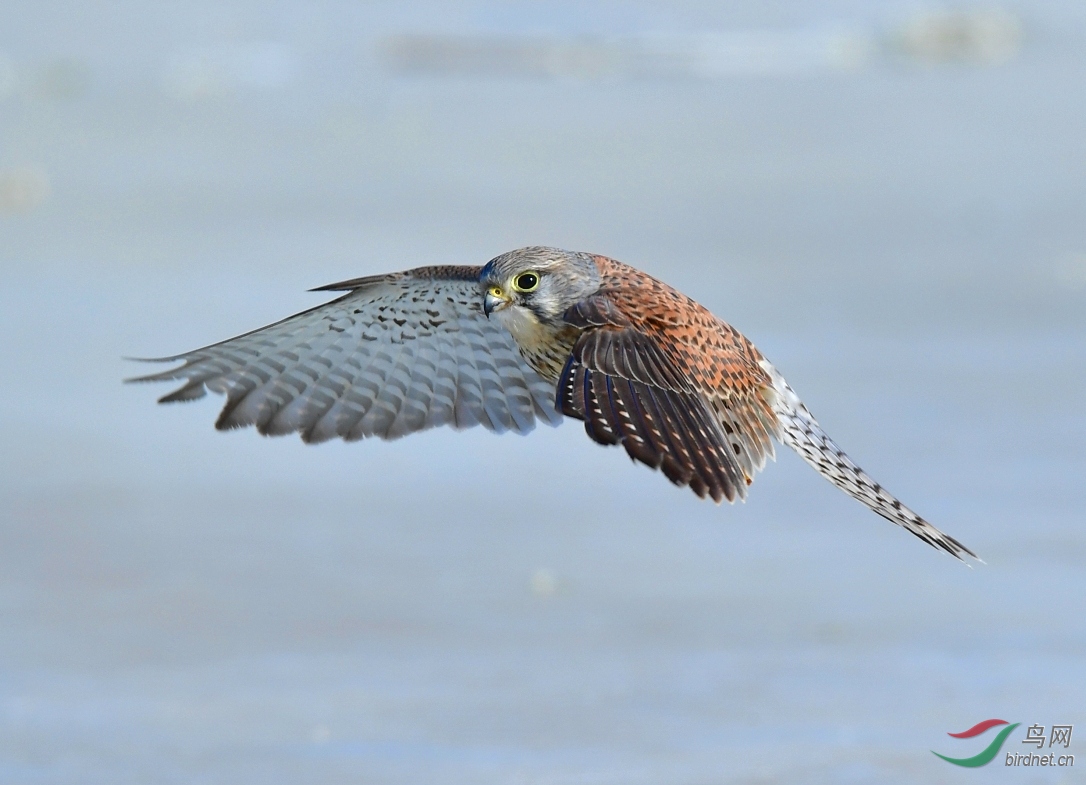 DSC_8111_��ͼ��.jpg