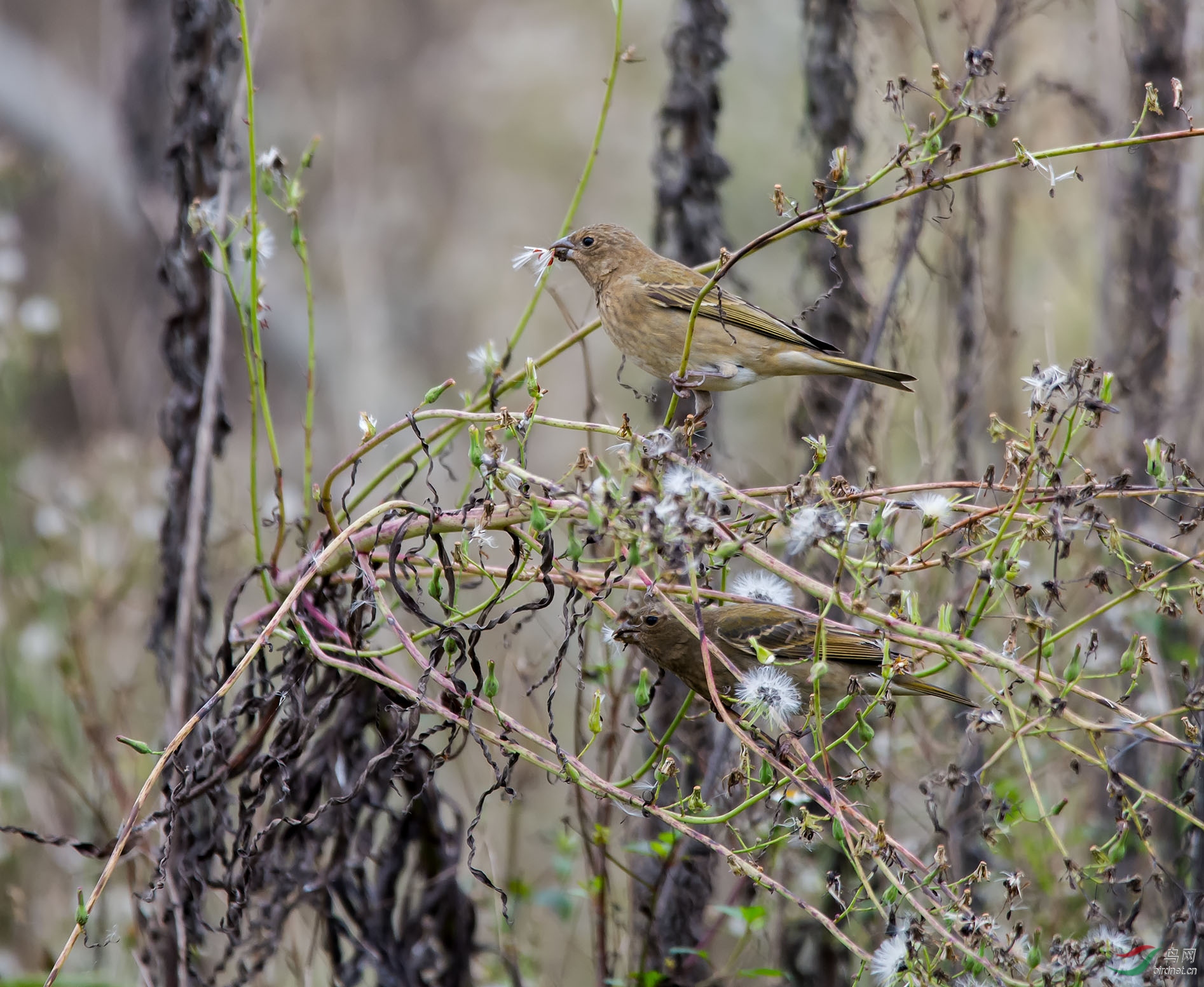 16��  ��ȸ ��