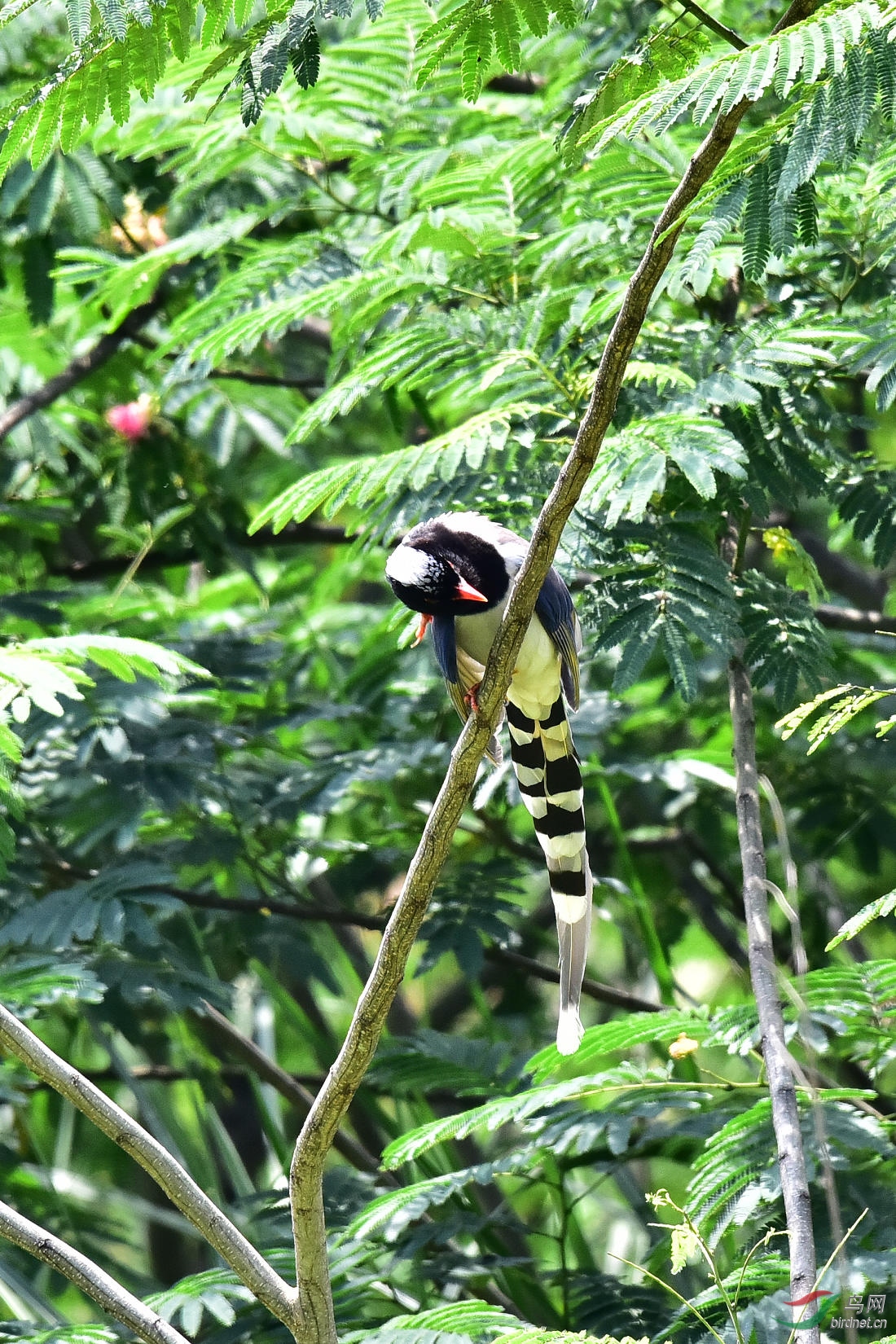 DSC_0728.JPG