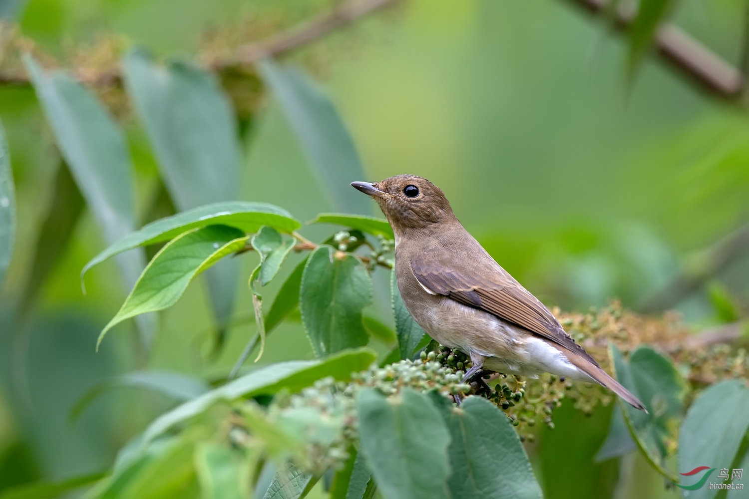 A9D07344a.jpg