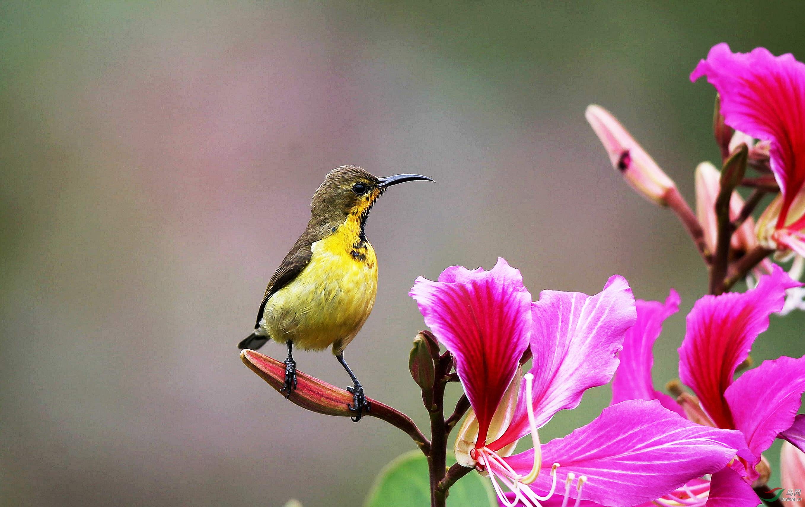 H46R5900_���� (2).jpg