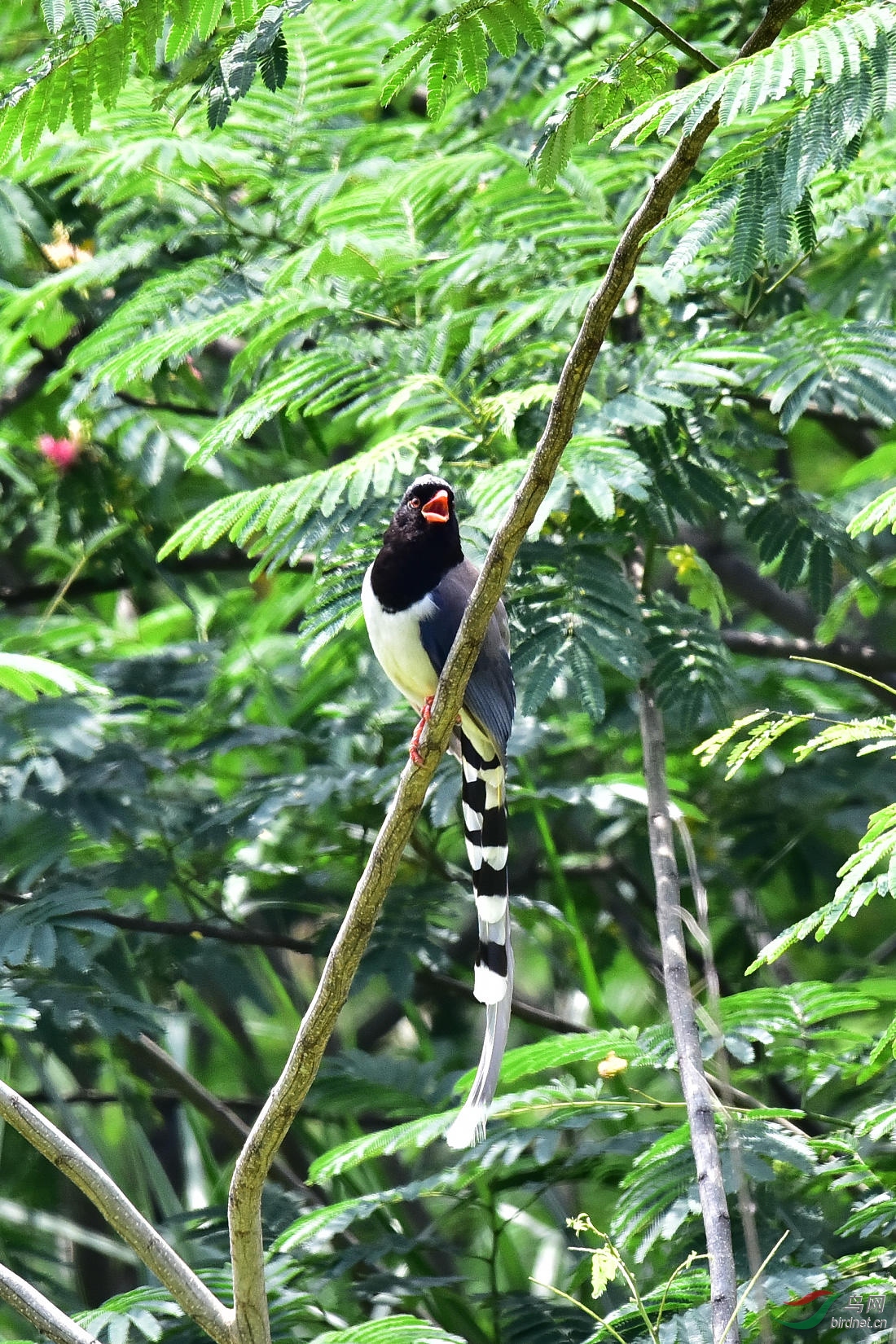 DSC_0729.JPG