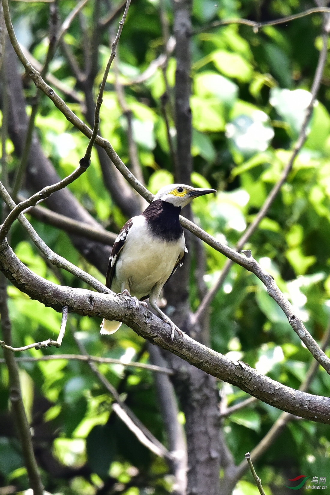 DSC_0309.JPG