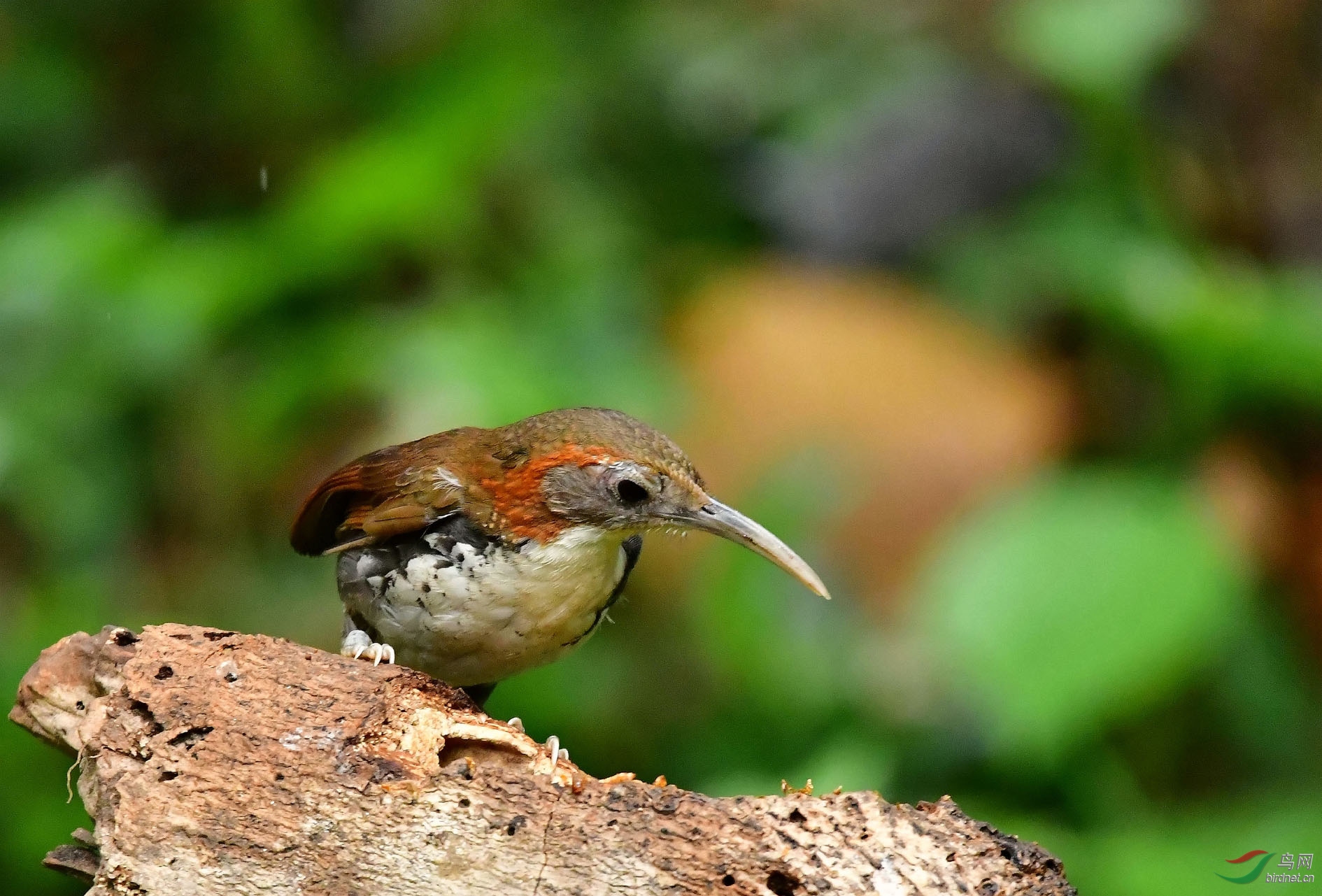 DSC_0750_����.jpg