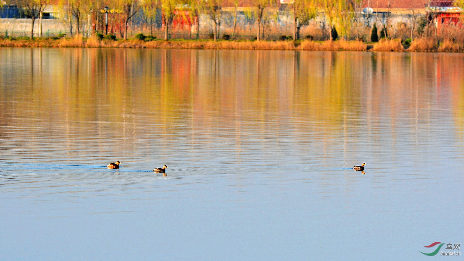DSC_3734.JPG