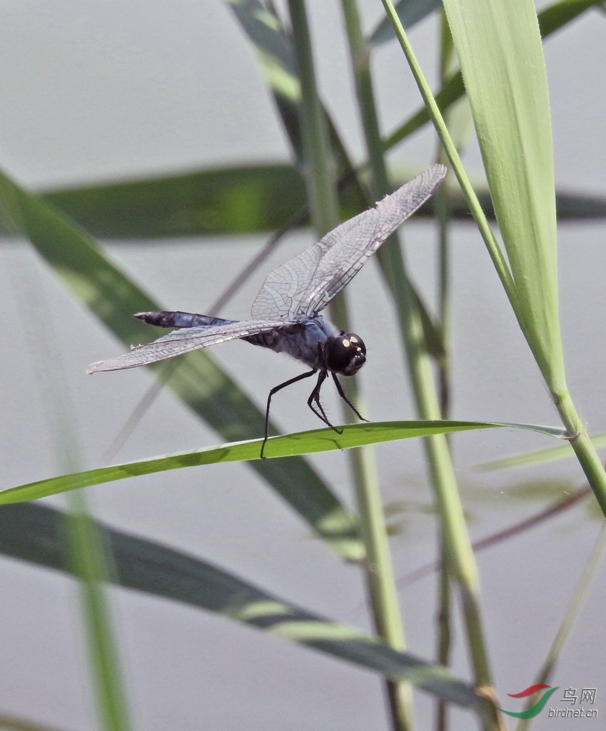 DSCN2809.JPG