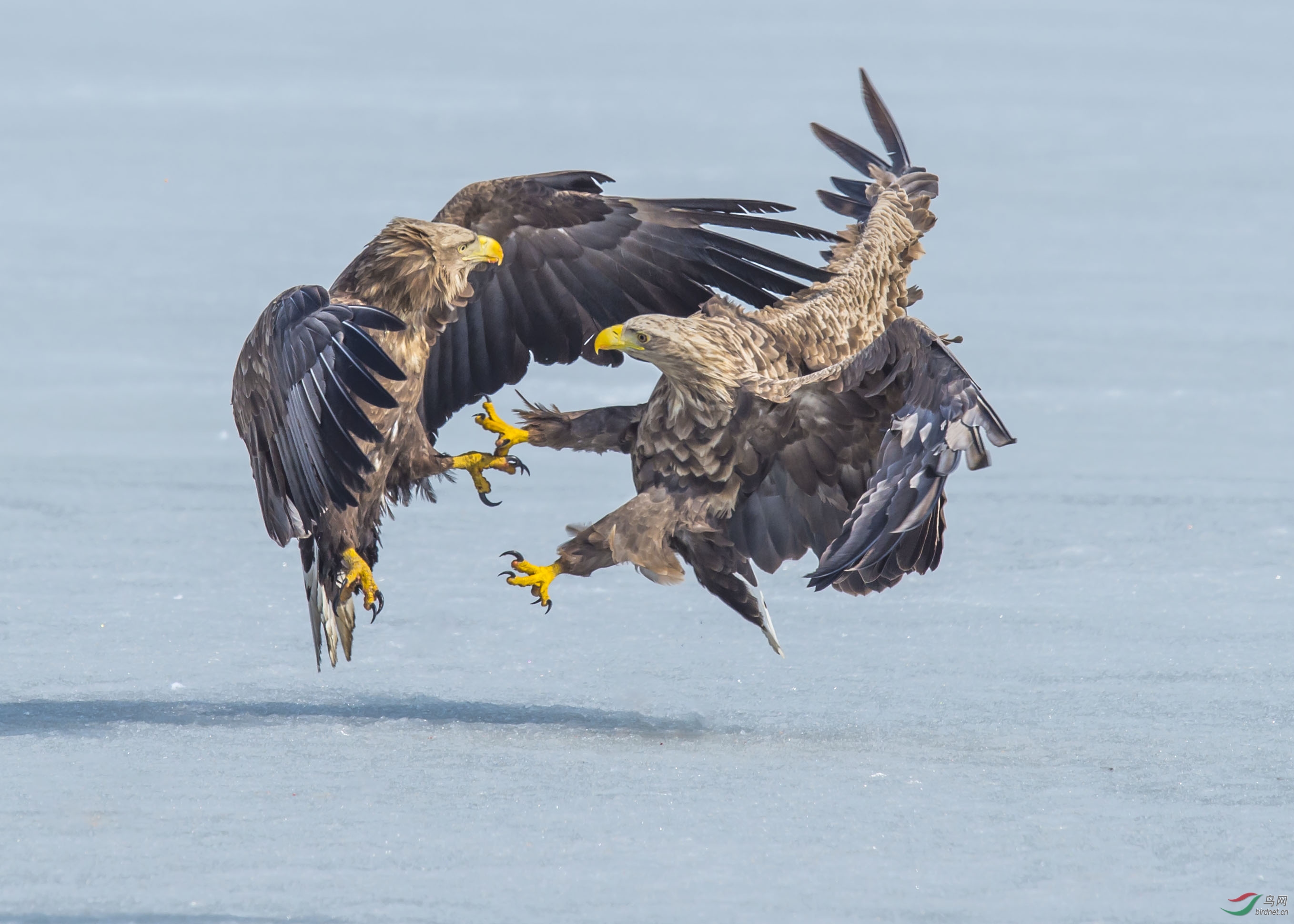 DSC_5657.jpg