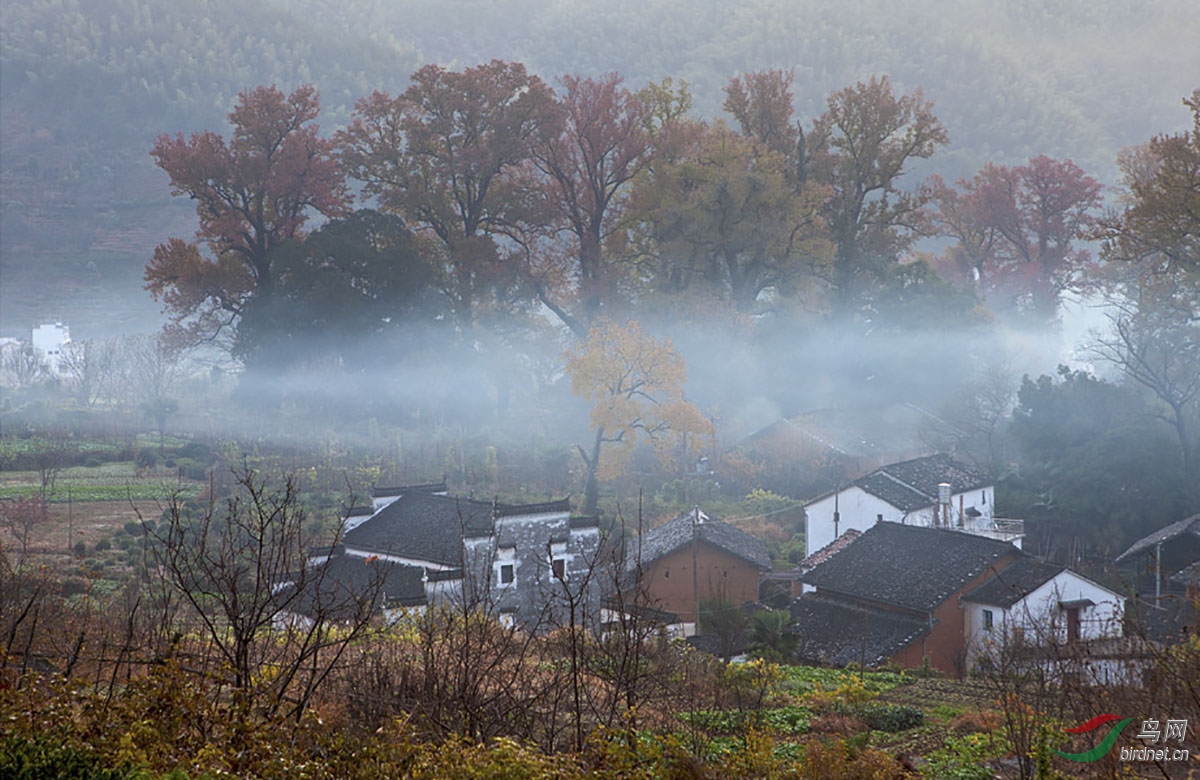 _MG_4927.jpg