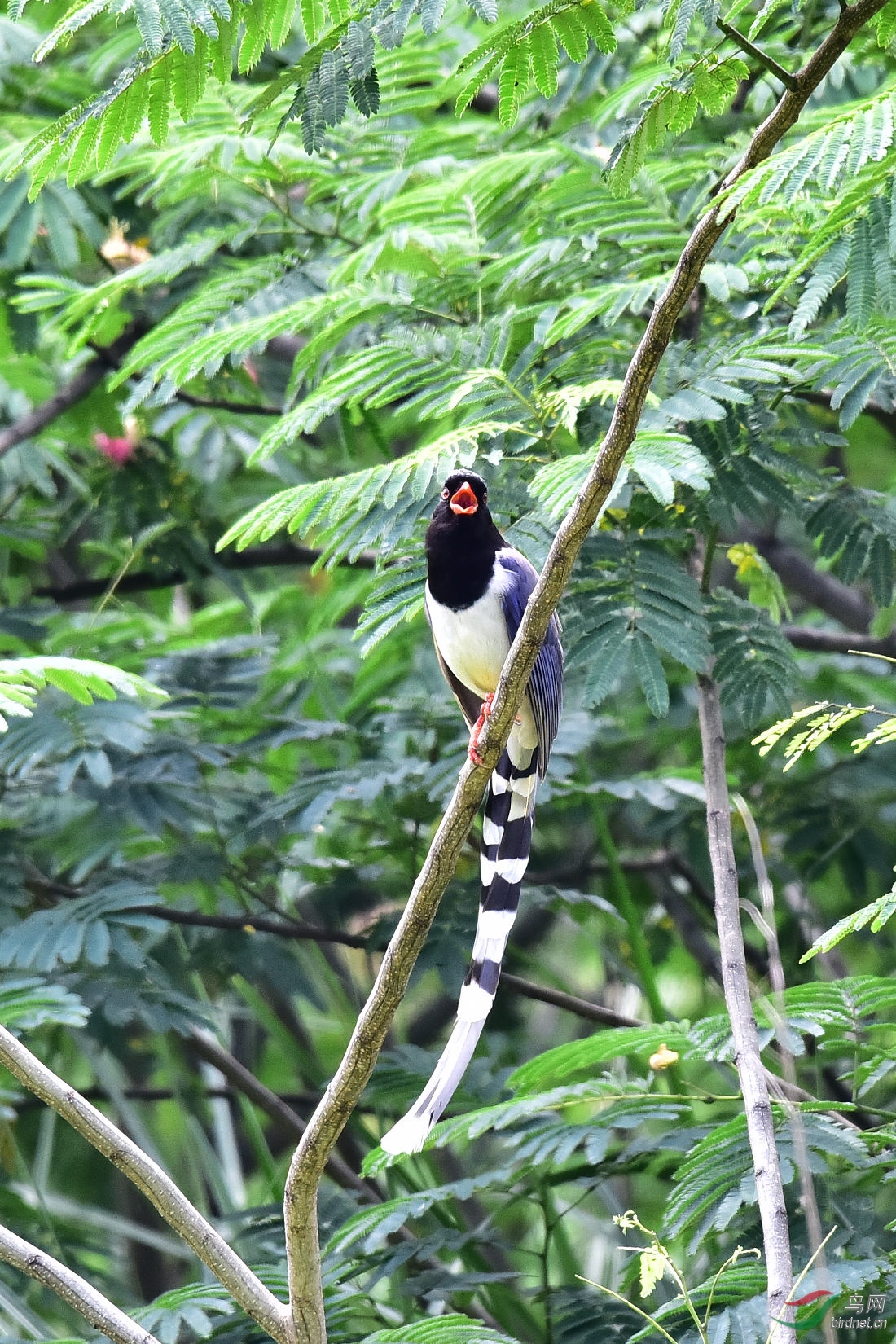 DSC_0731.JPG