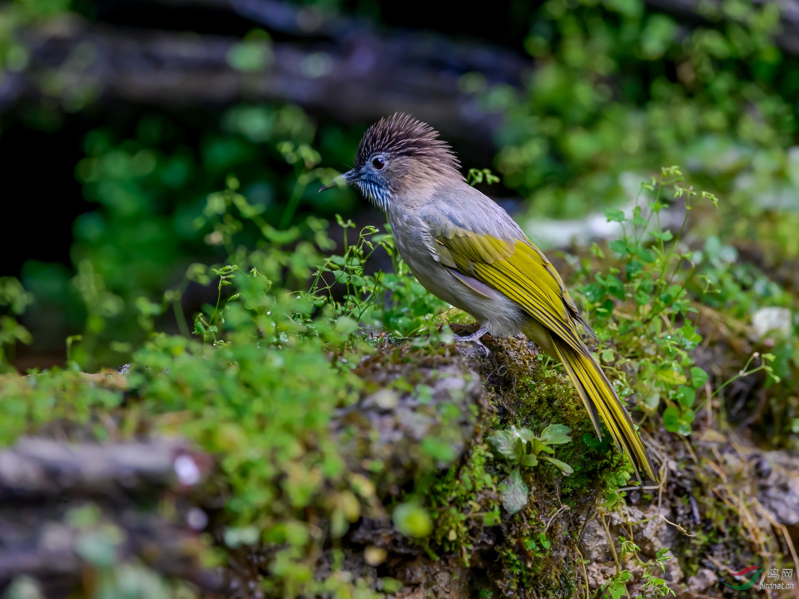 DSC_4661.jpg