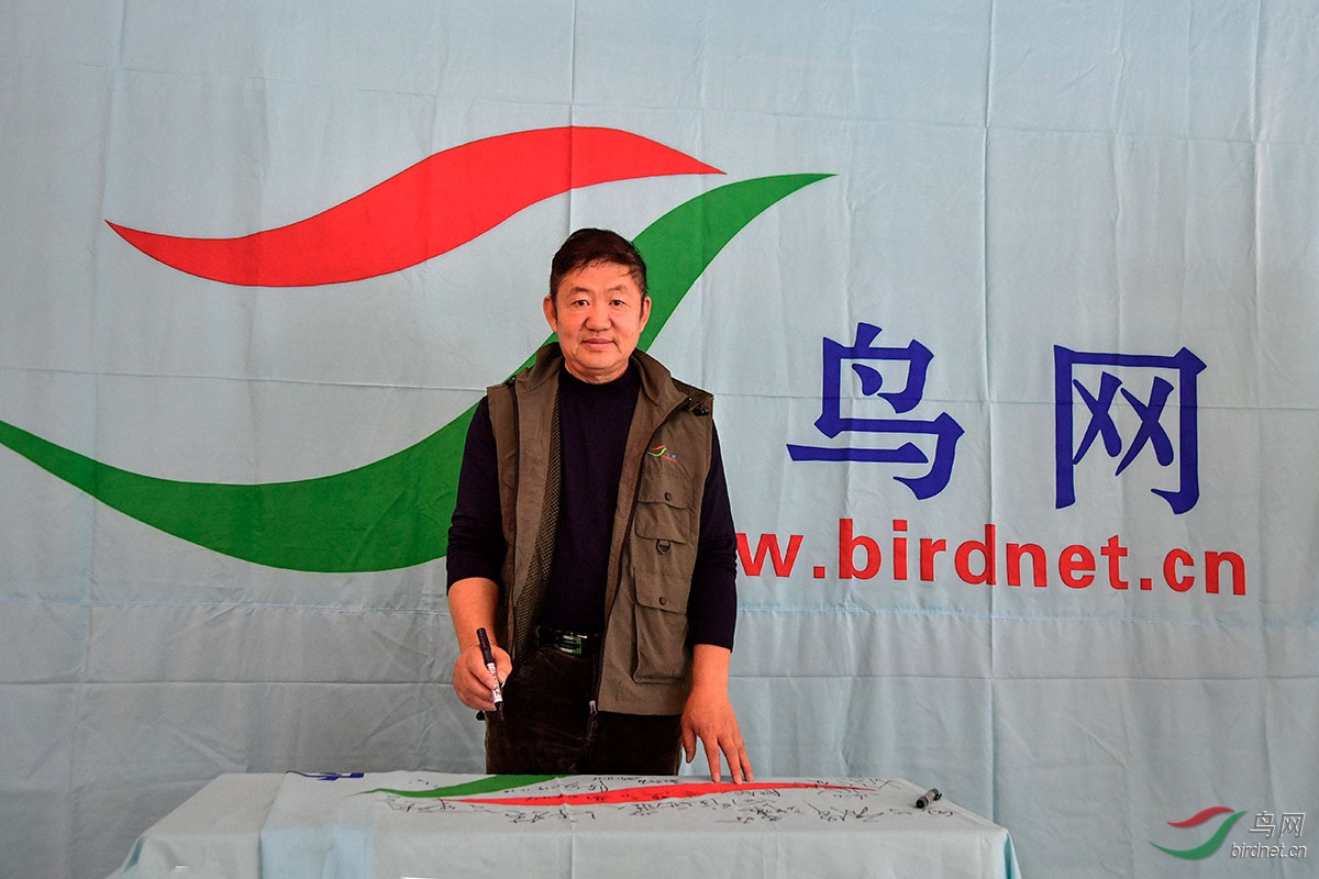 向往西藏.jpg