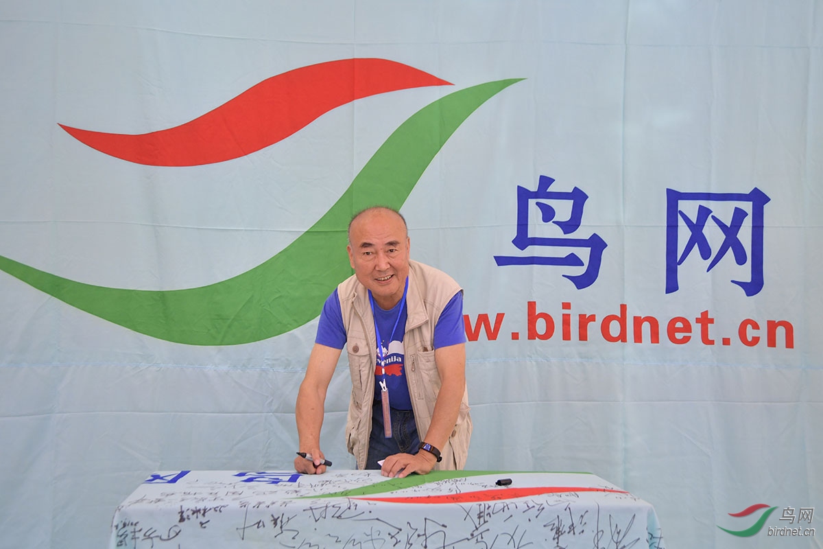 杨勇.jpg