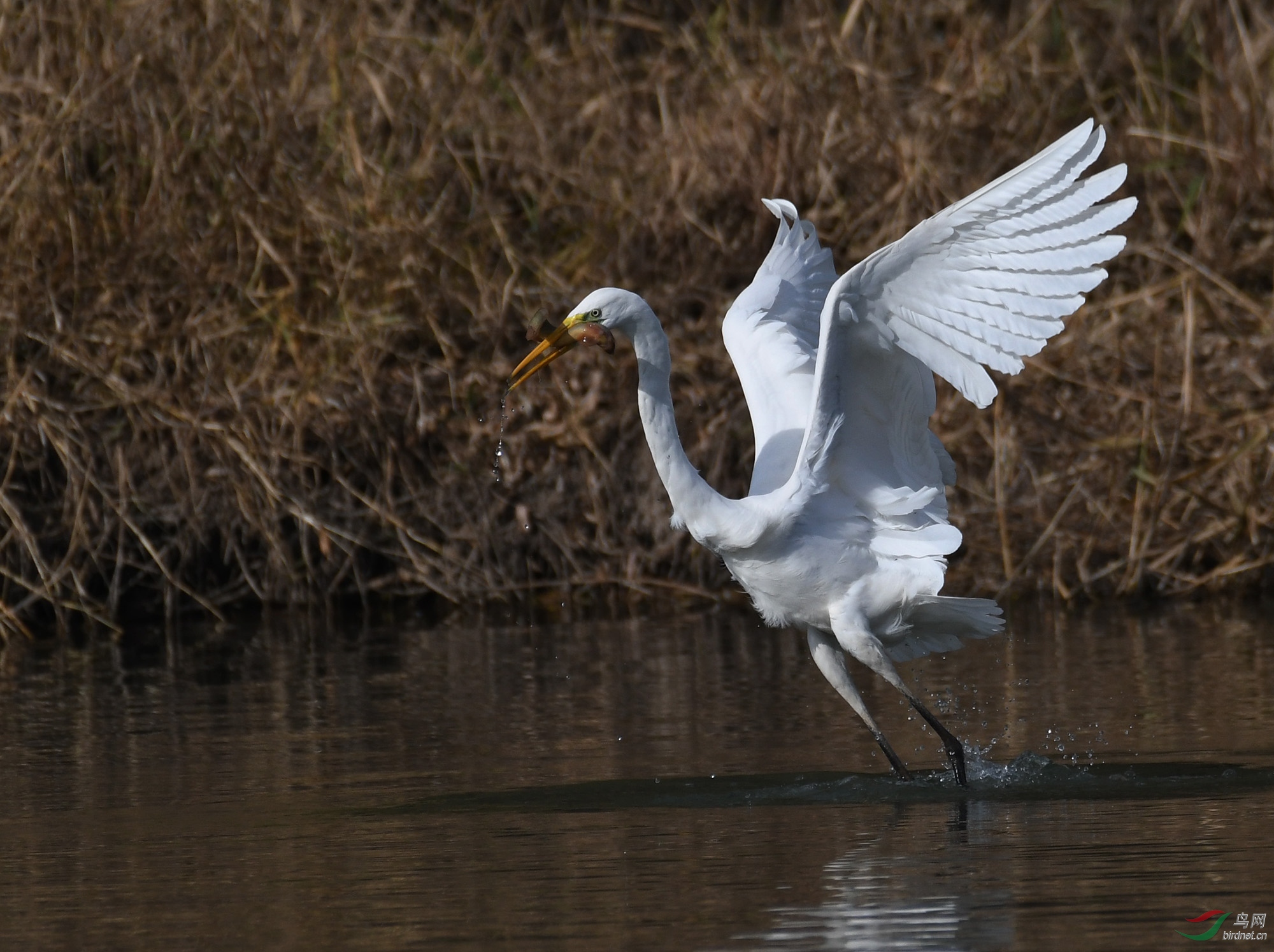 ������Ӱ 1454����.jpg